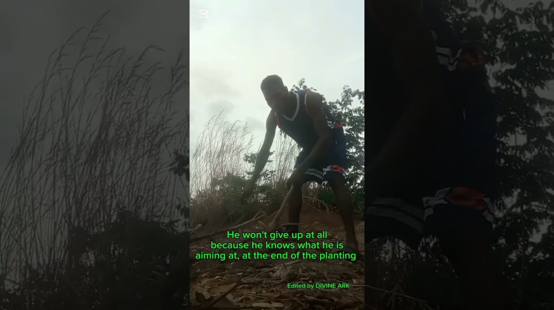 A Farmer ( The kingdom of Heaven ) #movie #funny #film ##comedy #mountzion A Farmer ( The kingdom of Heaven ) #movie #funny #film ##comedy #mountzion