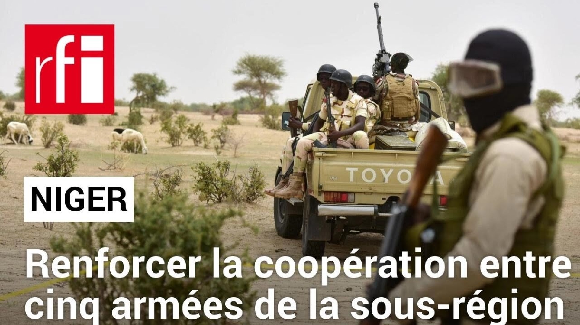 Niger, Mali, Burkina, Tchad et Togo mènent des exercices militaires conjoints • RFI Niger, Mali, Burkina, Tchad et Togo mènent des exercices militaires conjoints • RFI