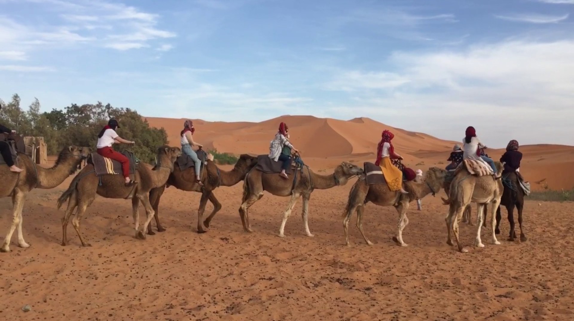 Tours in Morocco, camel trekking in Sand dunes Tours in Morocco, camel trekking in Sand dunes