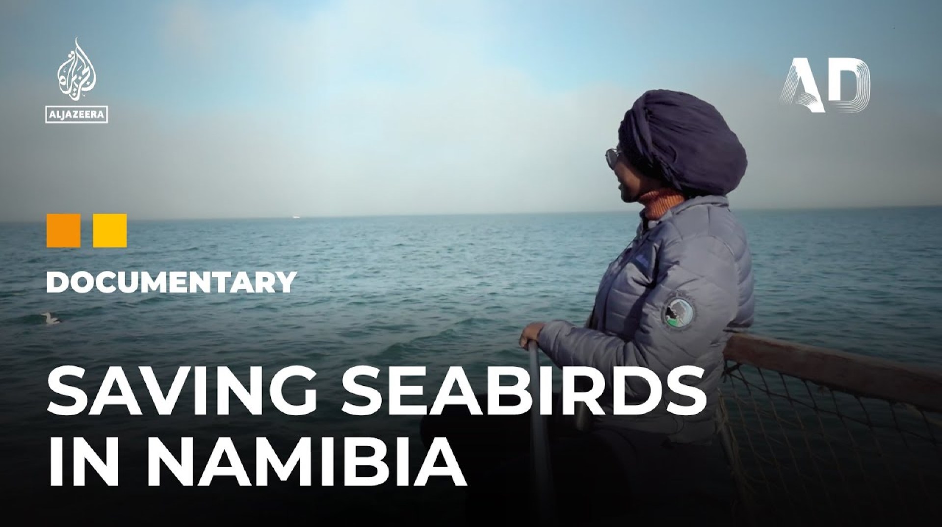 Sleeping on Water: A marine biologist in Namibia | Africa Direct Documentary Sleeping on Water: A marine biologist in Namibia | Africa Direct Documentary