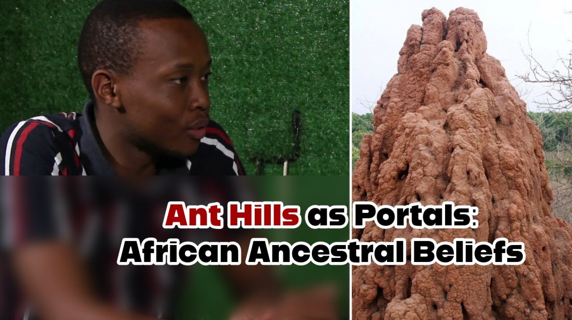 Ants Hill, a doorway for communication with ancestors Ants Hill, a doorway for communication with ancestors