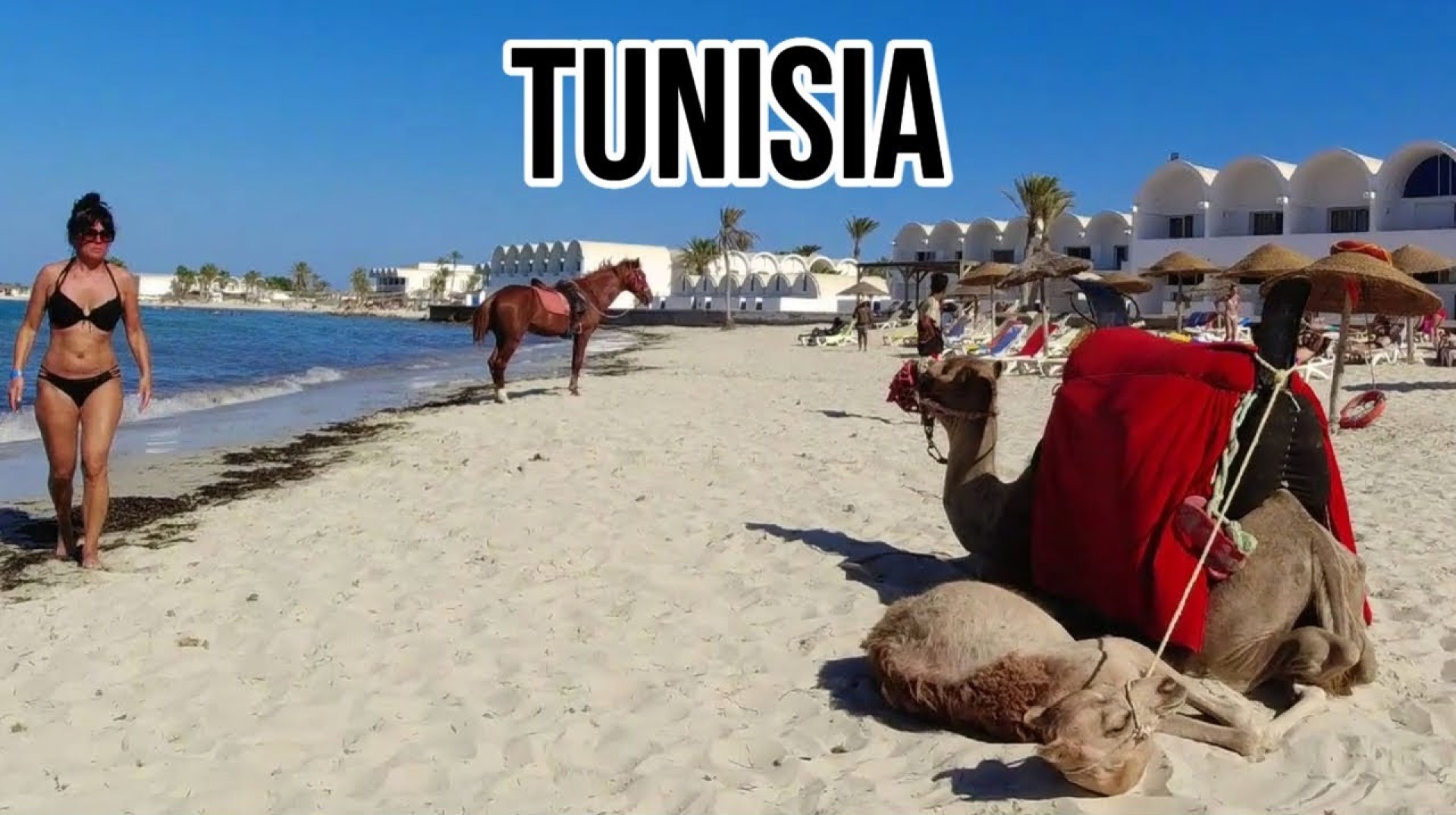 The Beach Scene in TUNISIA | Is This an African Paradise? The Beach Scene in TUNISIA | Is This an African Paradise?