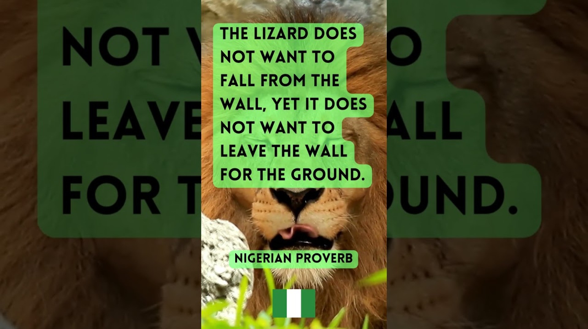 Lizard's Dilemma – Nigerian Proverb #africanwisdom #nigeria #wisdomseekers #exploreafrica Lizard's Dilemma – Nigerian Proverb #africanwisdom #nigeria #wisdomseekers #exploreafrica