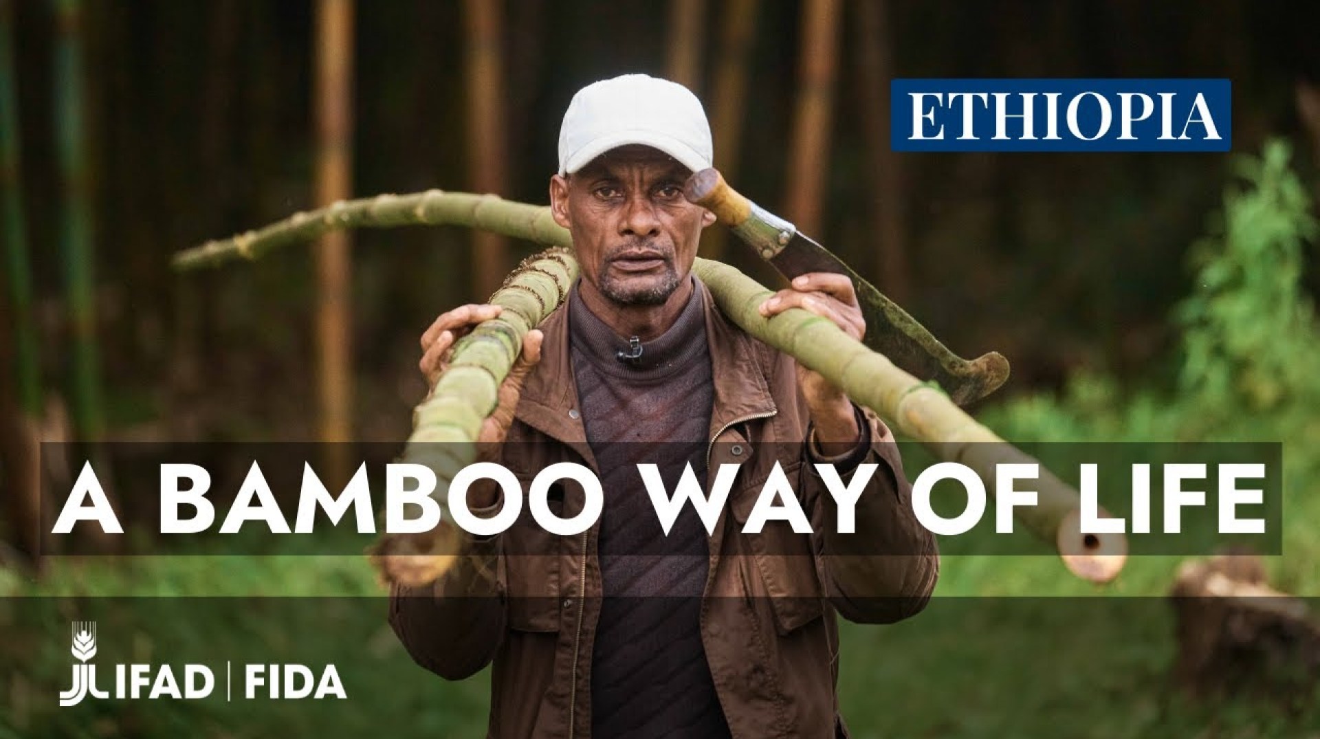 Ethiopia: living (and dying) with bamboo Ethiopia: living (and dying) with bamboo