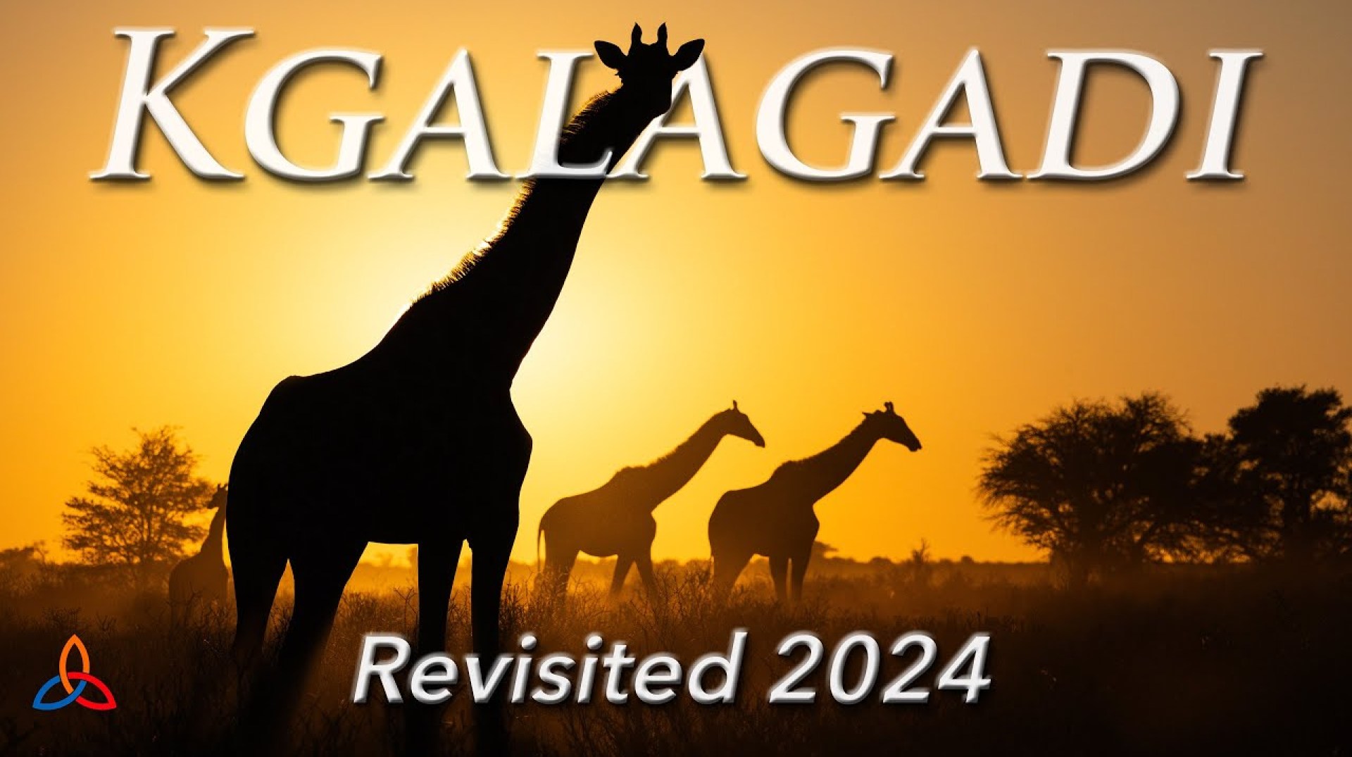 Kgalagadi Transfrontier Park Revisited 2024 Kgalagadi Transfrontier Park Revisited 2024
