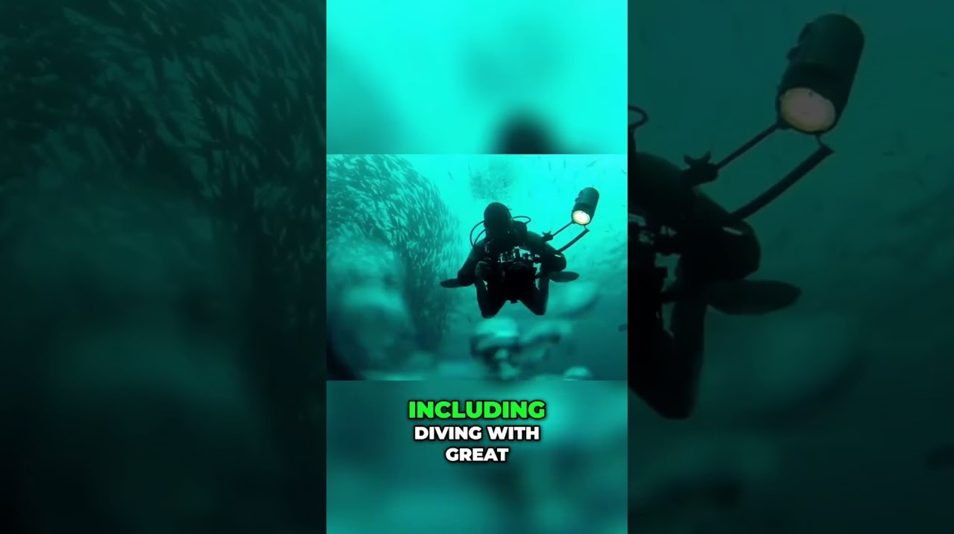 Ultimate Adventure Travel in South Africa: Thrilling Experiences Await #shorts Ultimate Adventure Travel in South Africa: Thrilling Experiences Await #shorts