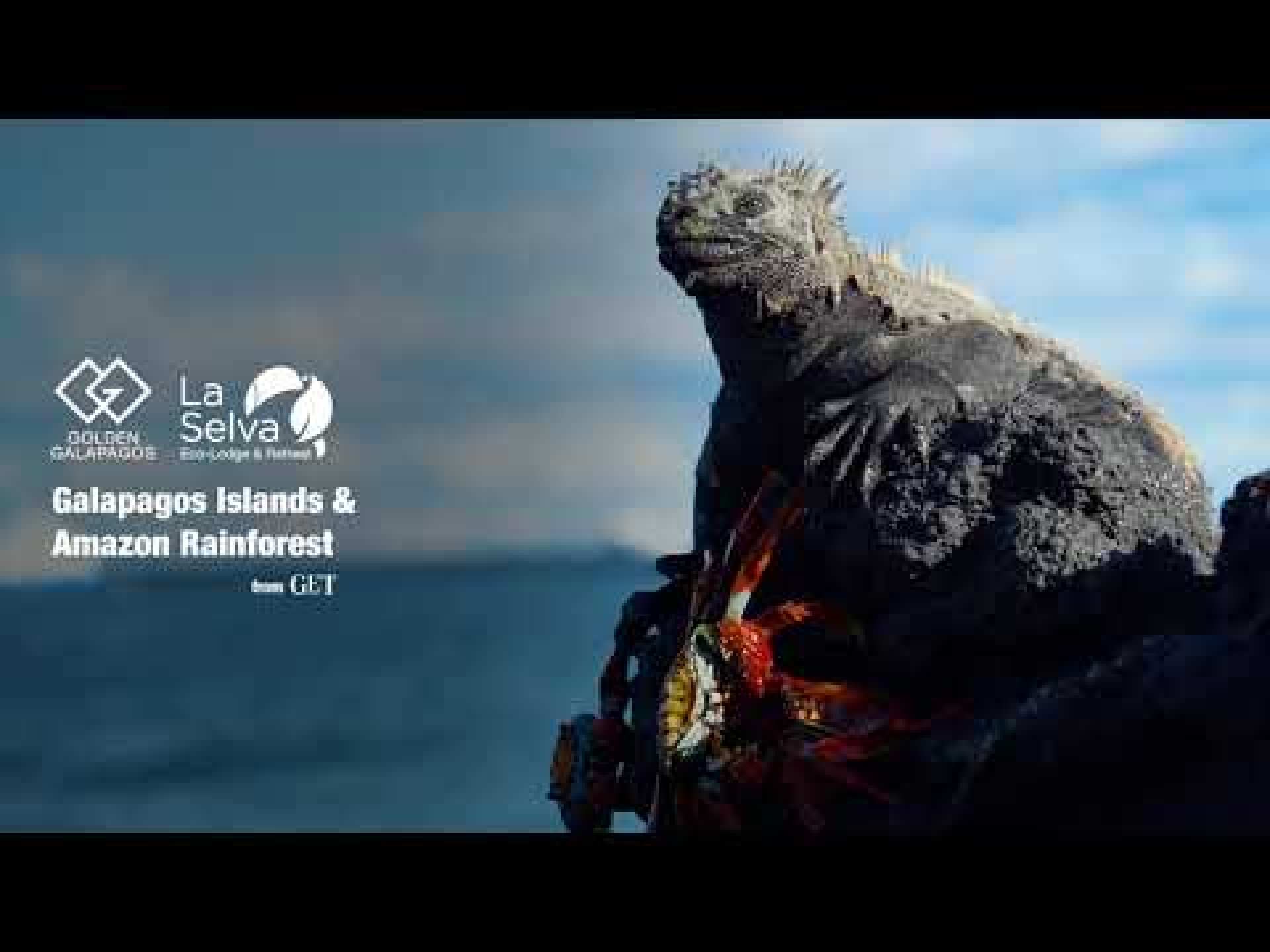 Galapagos Luxury Cruises & Amazon Premium Eco-Lodge by Golden Experiences and Travel 2024 Galapagos Luxury Cruises & Amazon Premium Eco-Lodge by Golden Experiences and Travel 2024