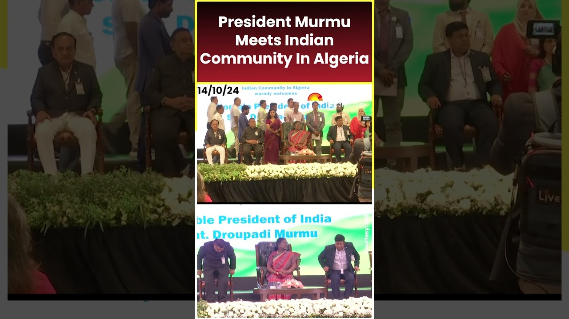 President Murmu Meets Indian Community In Algeria #ytshorts #shortsfeed #shorts President Murmu Meets Indian Community In Algeria #ytshorts #shortsfeed #shorts