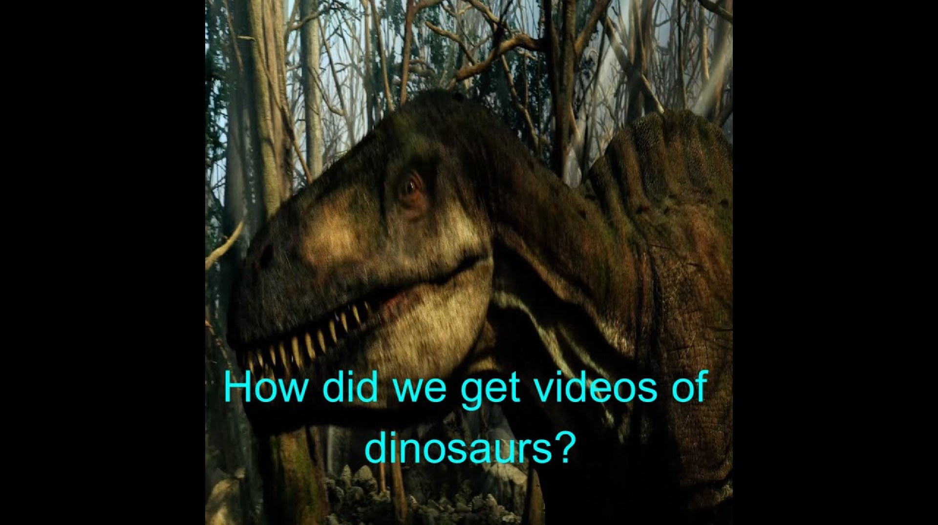 How did we get videos of dinosaurs? How did we get videos of dinosaurs?