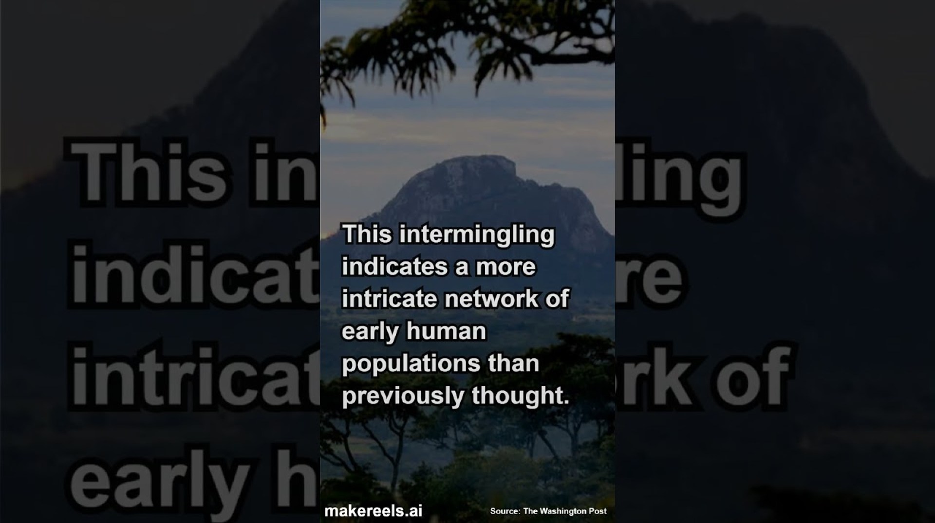 The Picture of Early Human Origins in Africa Grows More Complex #africanews #humanhistory #shorts The Picture of Early Human Origins in Africa Grows More Complex #africanews #humanhistory #shorts