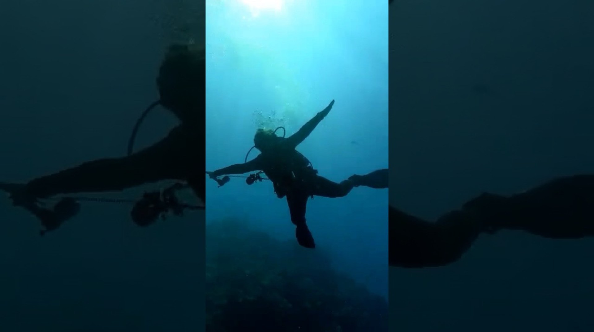 I’m crazy and I know it #shorts #scubadiving #travel #egypt I’m crazy and I know it #shorts #scubadiving #travel #egypt