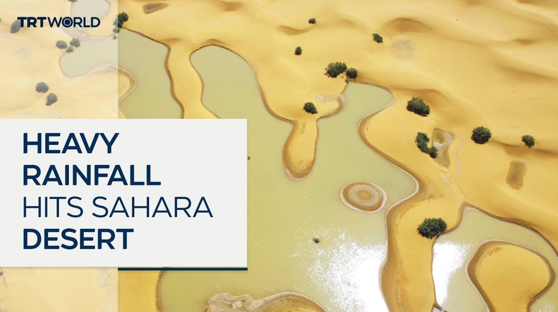 Two days of heavy rainfall hits Sahara desert Two days of heavy rainfall hits Sahara desert