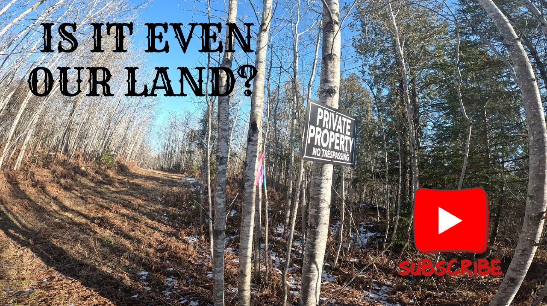 Neighbor surveyed the property line to prove us wrong! What is even our land?! Neighbor surveyed the property line to prove us wrong! What is even our land?!