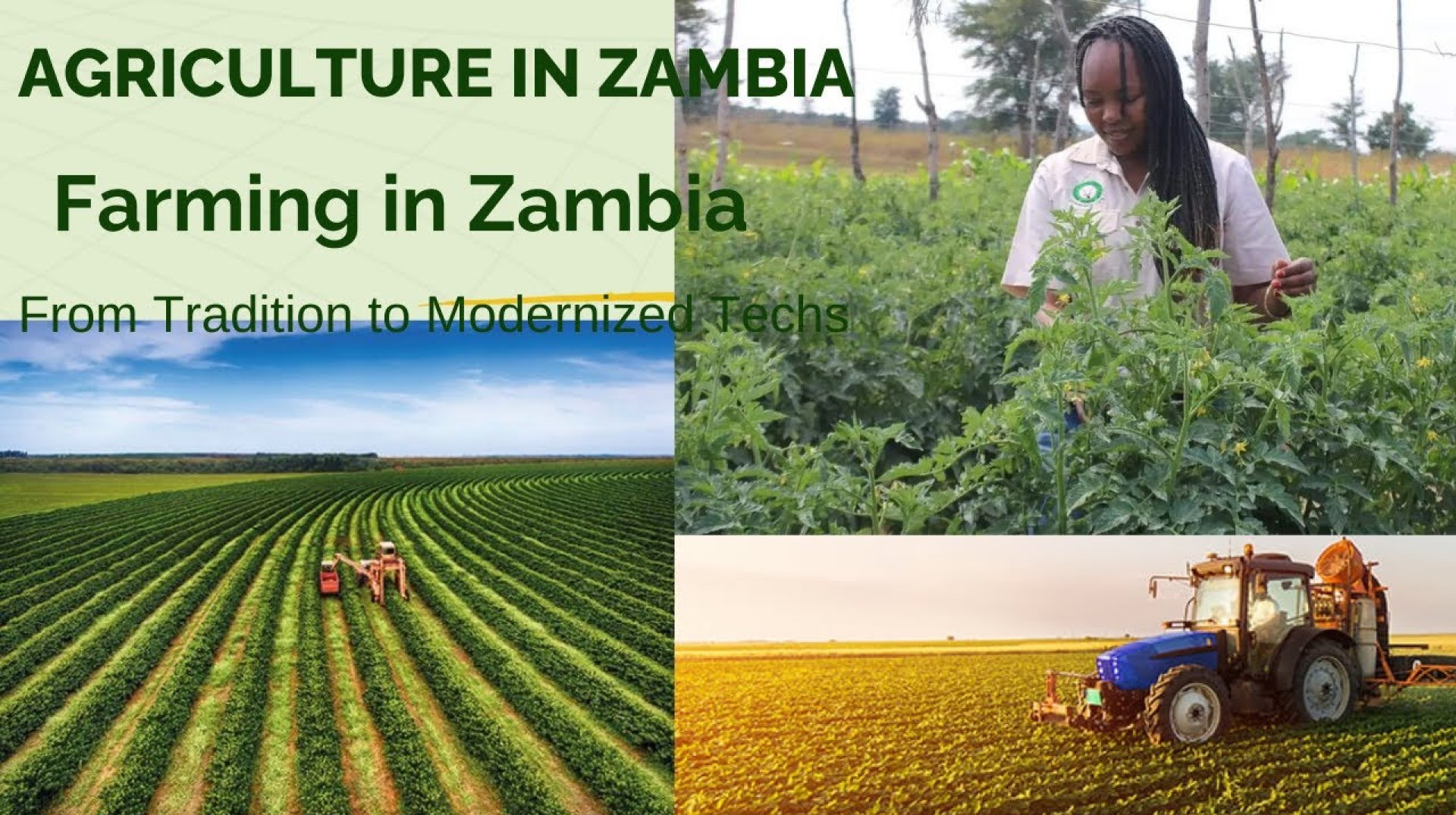 Agriculture in Zambia: Farming in Zambia Agriculture in Zambia: Farming in Zambia