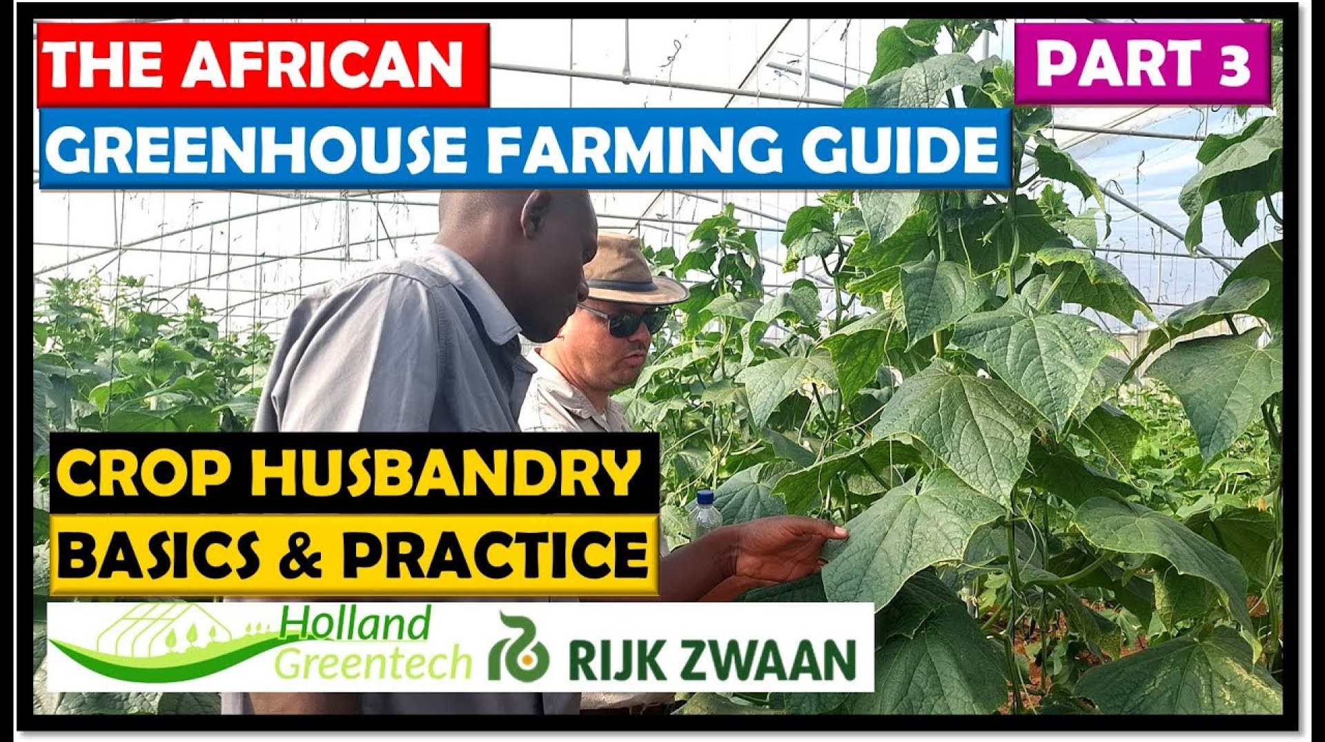 African Greenhouse Farming Guide Part 3: Crop Growing African Greenhouse Farming Guide Part 3: Crop Growing