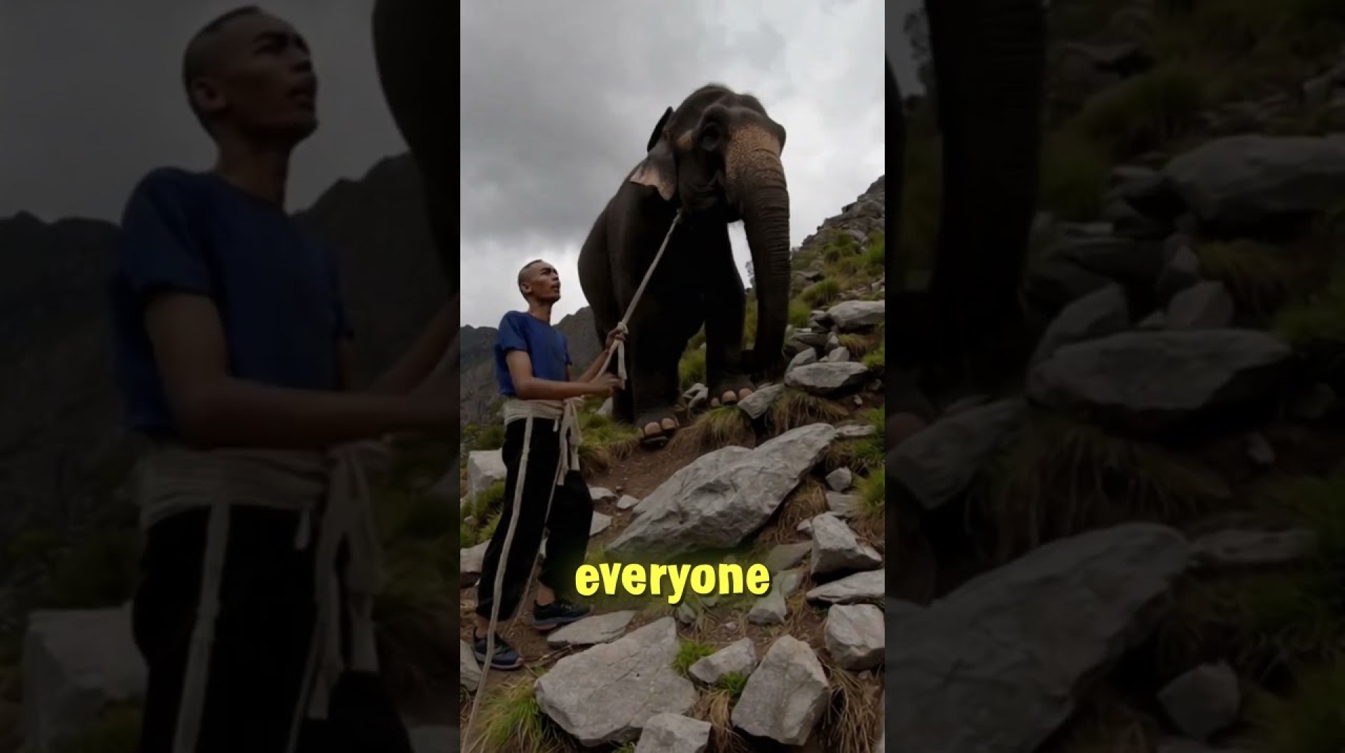 WHAT DID THEY USE THE ELEPHANT FOR??! – #shorts #animation #curiosities WHAT DID THEY USE THE ELEPHANT FOR??! – #shorts #animation #curiosities