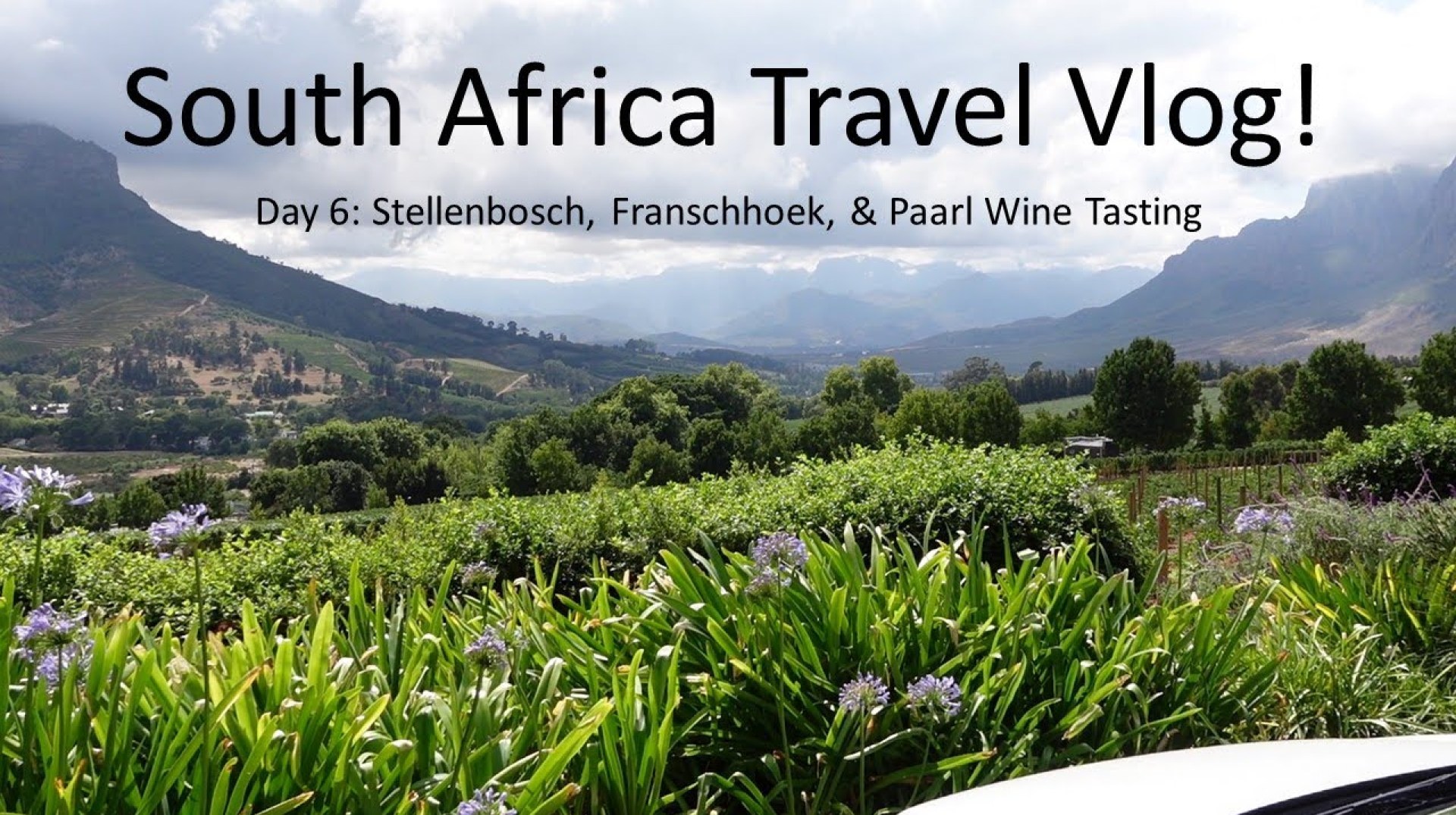 Franschhoek & Stellenbosch Wine Tasting Tour- South Africa Honeymoon Vlog (Day 6/14) Franschhoek & Stellenbosch Wine Tasting Tour- South Africa Honeymoon Vlog (Day 6/14)