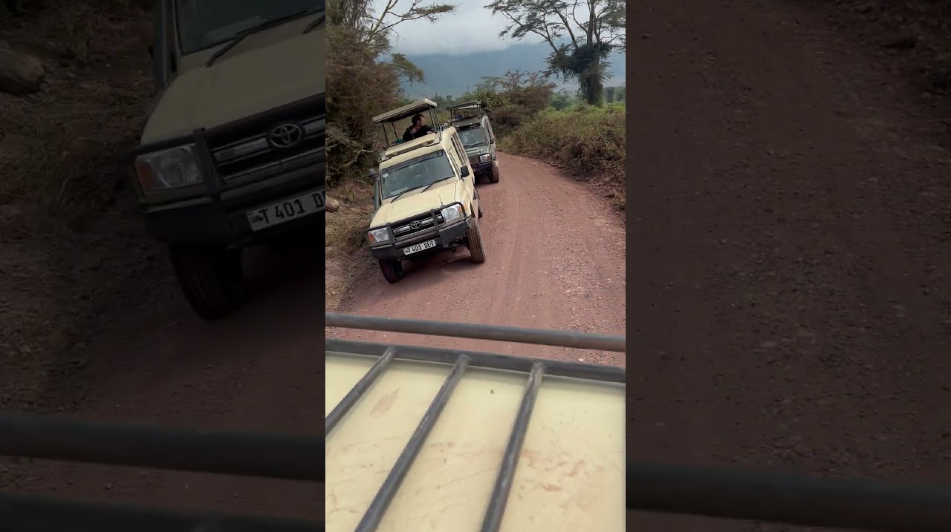 Ngorongoro Crater Conservation Area #ngorongorocrater #wildlife Ngorongoro Crater Conservation Area #ngorongorocrater #wildlife