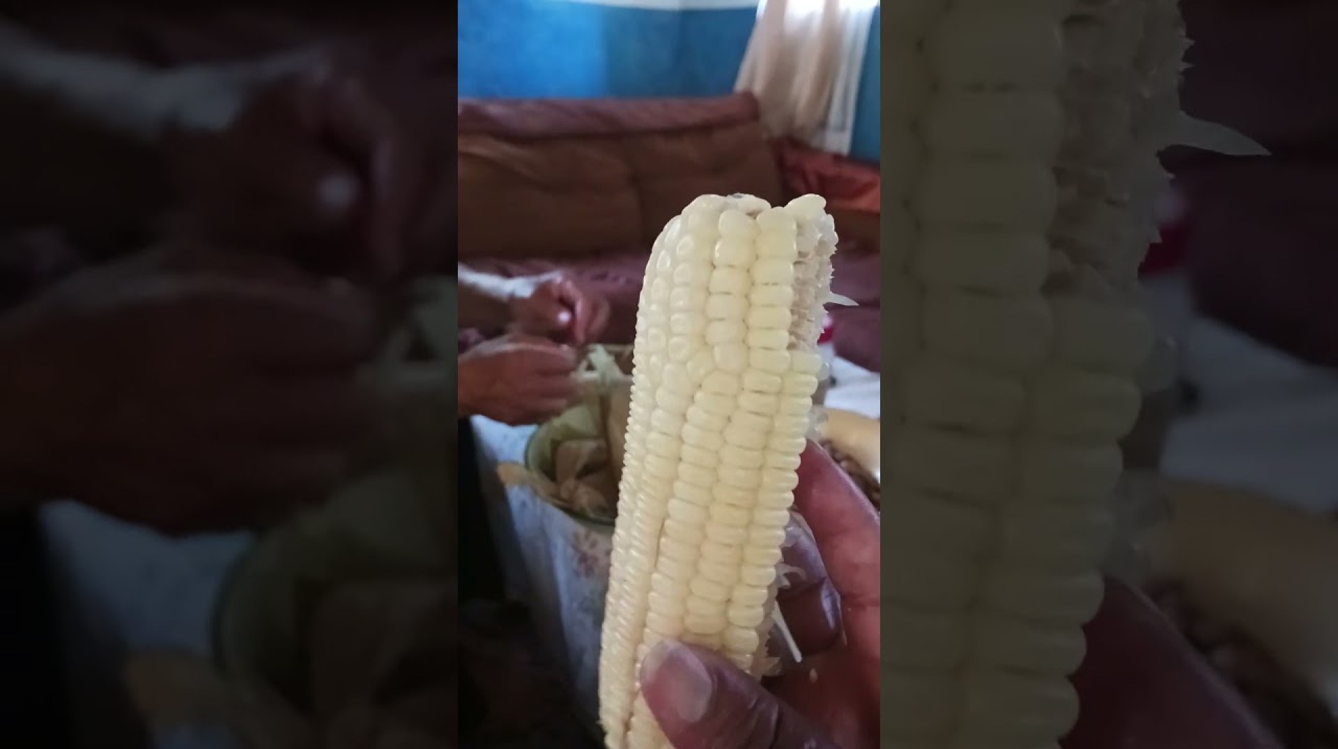 breakfast in Zimbabwe #travelzimbabwe #gardening #mytakeonhomeandgarden #zimbabweanculture #farming breakfast in Zimbabwe #travelzimbabwe #gardening #mytakeonhomeandgarden #zimbabweanculture #farming