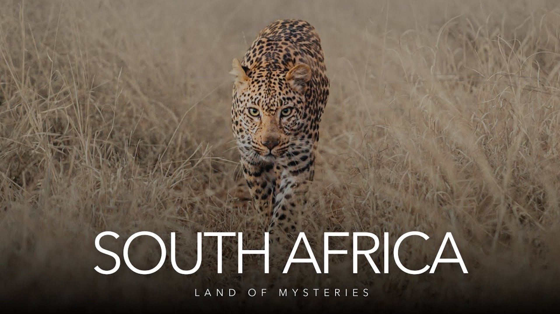 South Africa | Land of Mysteries – Garonga Safari Camp South Africa | Land of Mysteries – Garonga Safari Camp