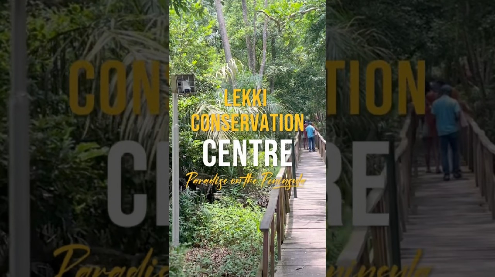 Experience the Longest Canopy Walkway in Africa #nigeria #naturelovers #tourism Experience the Longest Canopy Walkway in Africa #nigeria #naturelovers #tourism