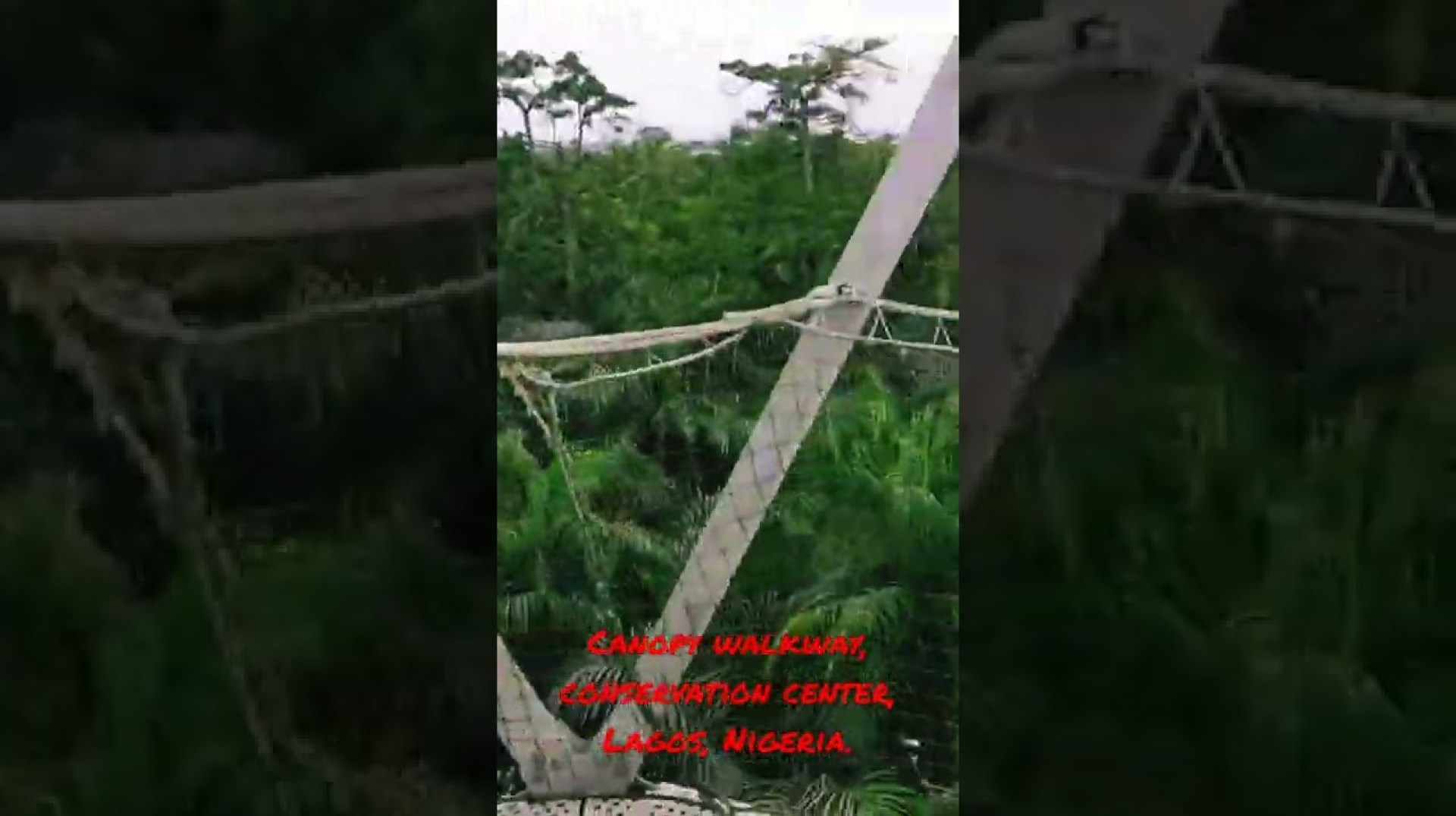 Canopy walkway, Lekki Conservation Centre, Lagos, Nigeria. Canopy walkway, Lekki Conservation Centre, Lagos, Nigeria.
