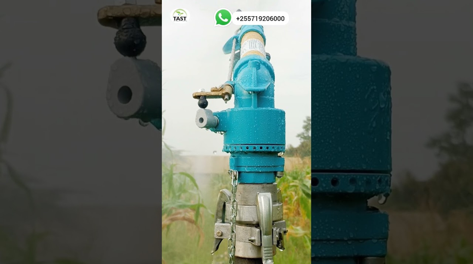Faida za kilimo Cha umwagiliaji _yuzuak JET 40 rain gun irrigation sprinkler #tast #tz #farmer #farm Faida za kilimo Cha umwagiliaji _yuzuak JET 40 rain gun irrigation sprinkler #tast #tz #farmer #farm