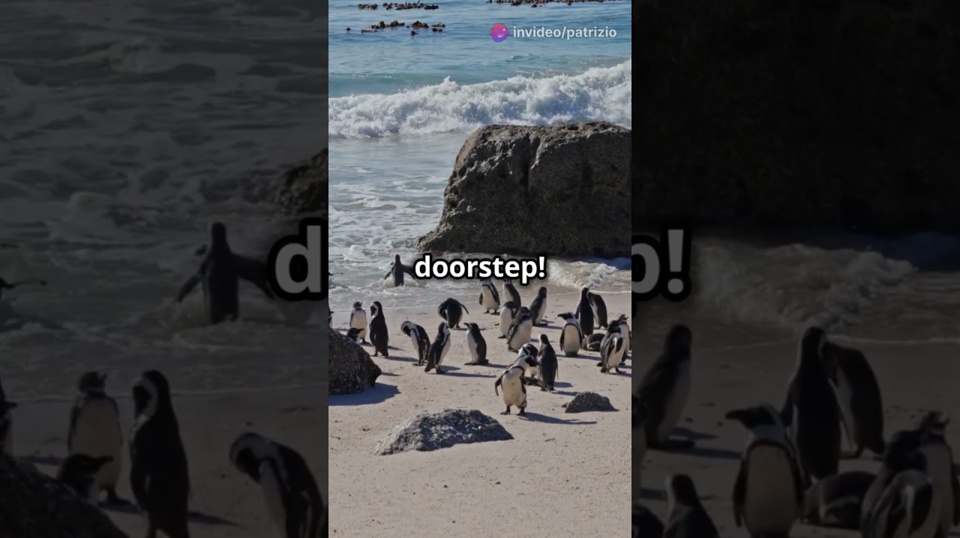 Exploring Cape Town’s Hidden Gems ! Exploring Cape Town’s Hidden Gems !