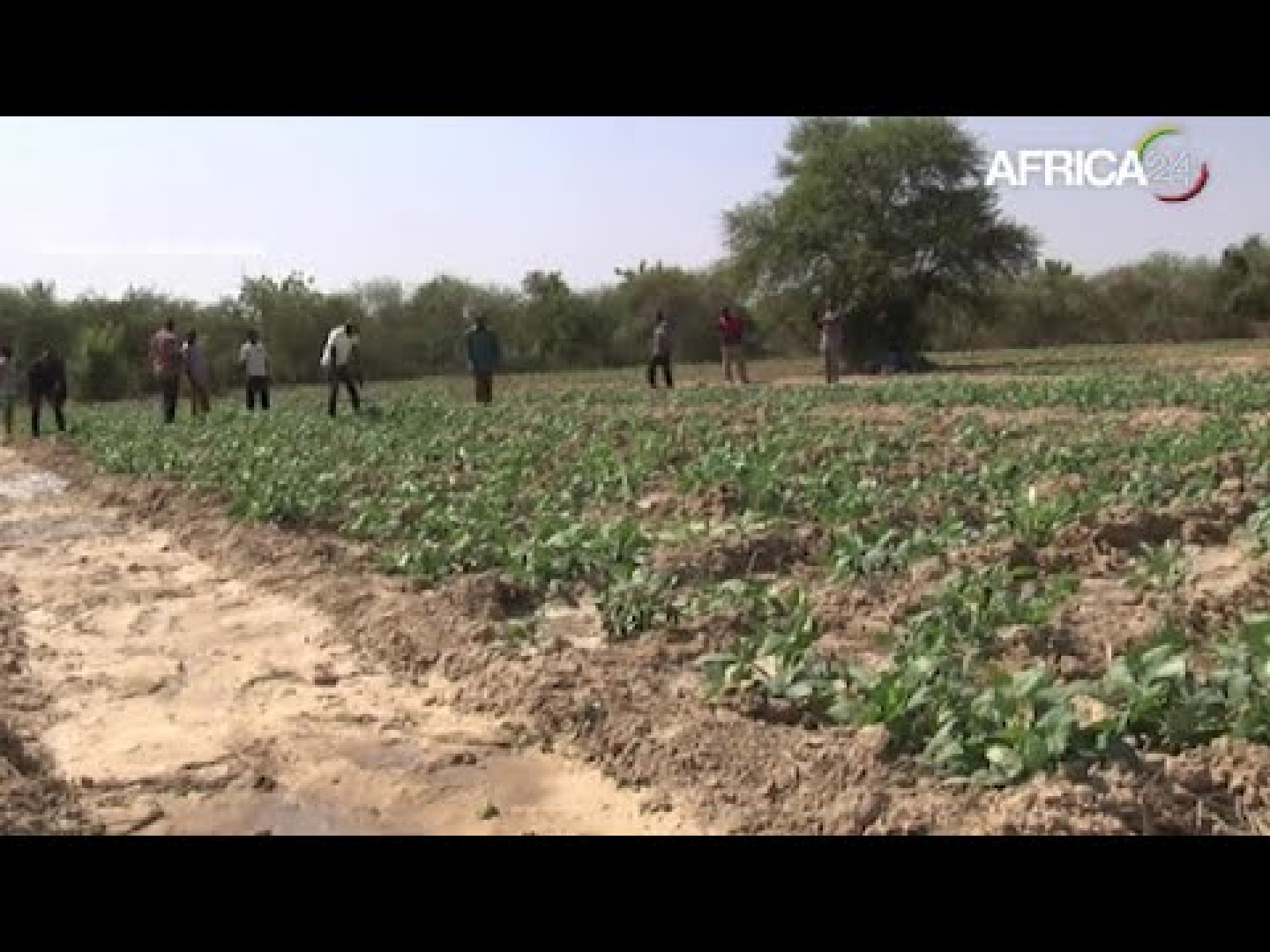 Burkina Faso : 23,6 millions USD à mobiliser pour la résilience alimentaire Burkina Faso : 23,6 millions USD à mobiliser pour la résilience alimentaire