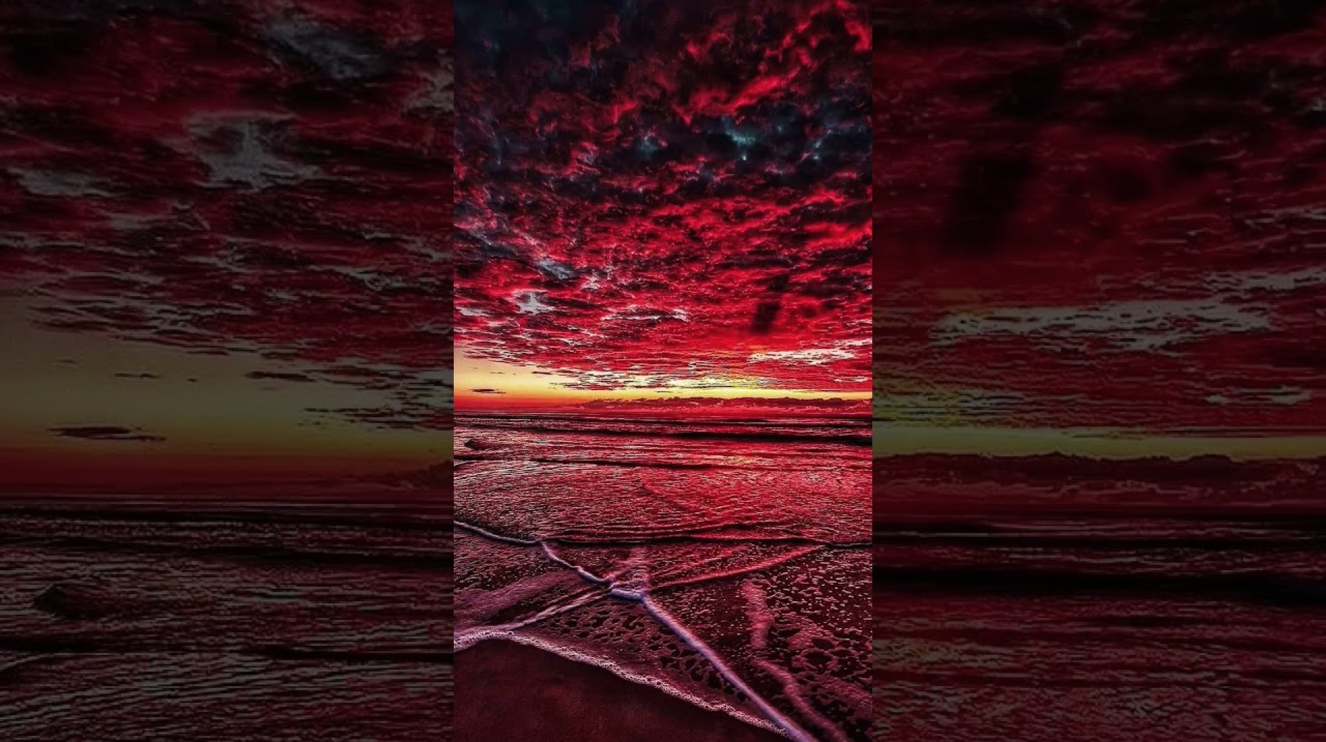 Nature photography #shortvideo #nature #travel #shorts #short #youtubeshorts #youtube #ytshorts Nature photography #shortvideo #nature #travel #shorts #short #youtubeshorts #youtube #ytshorts