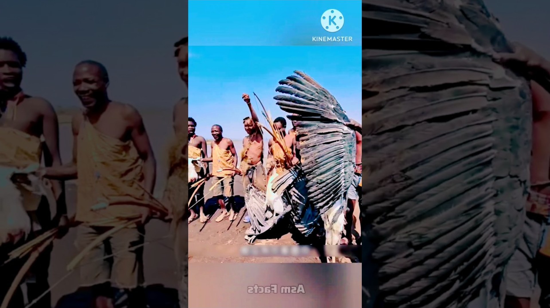 Al Jazeera#shorts #shortvideo Al Jazeera#shorts #shortvideo