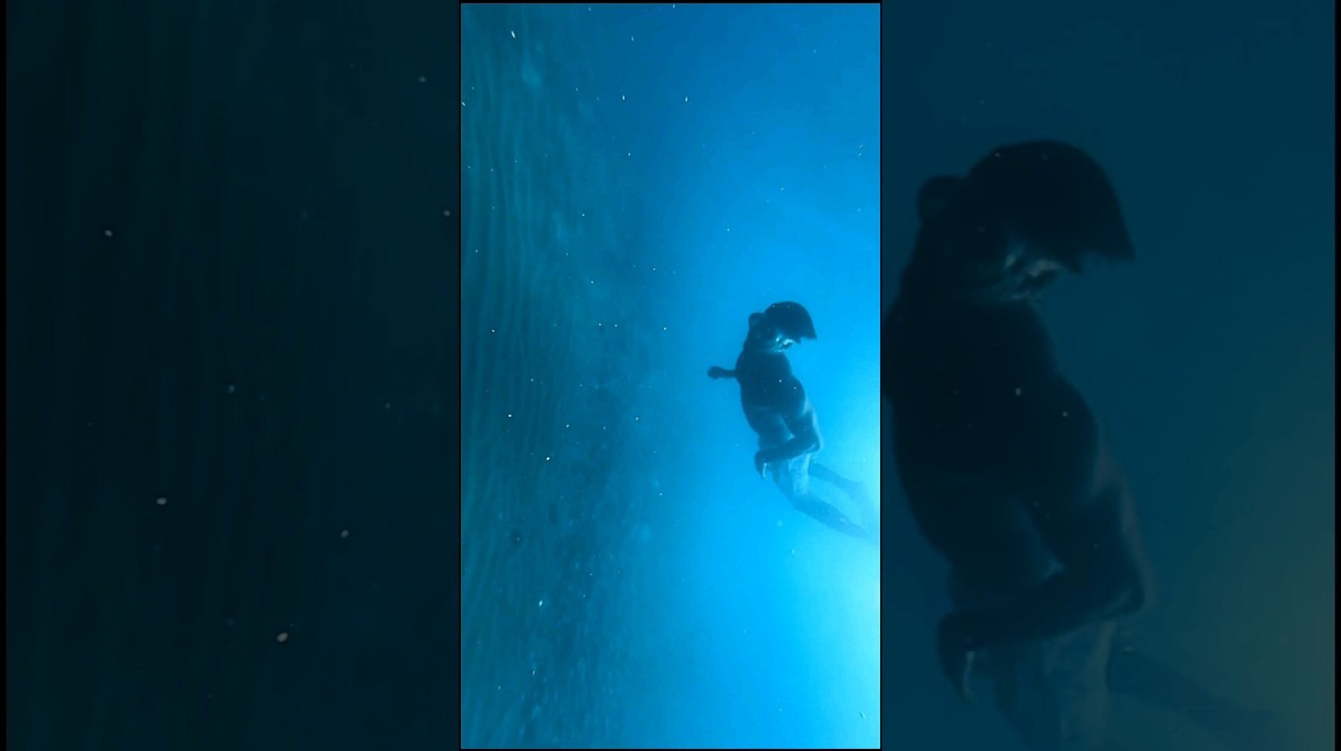 Diving #morocco #algeria #egypt #motivation Diving #morocco #algeria #egypt #motivation