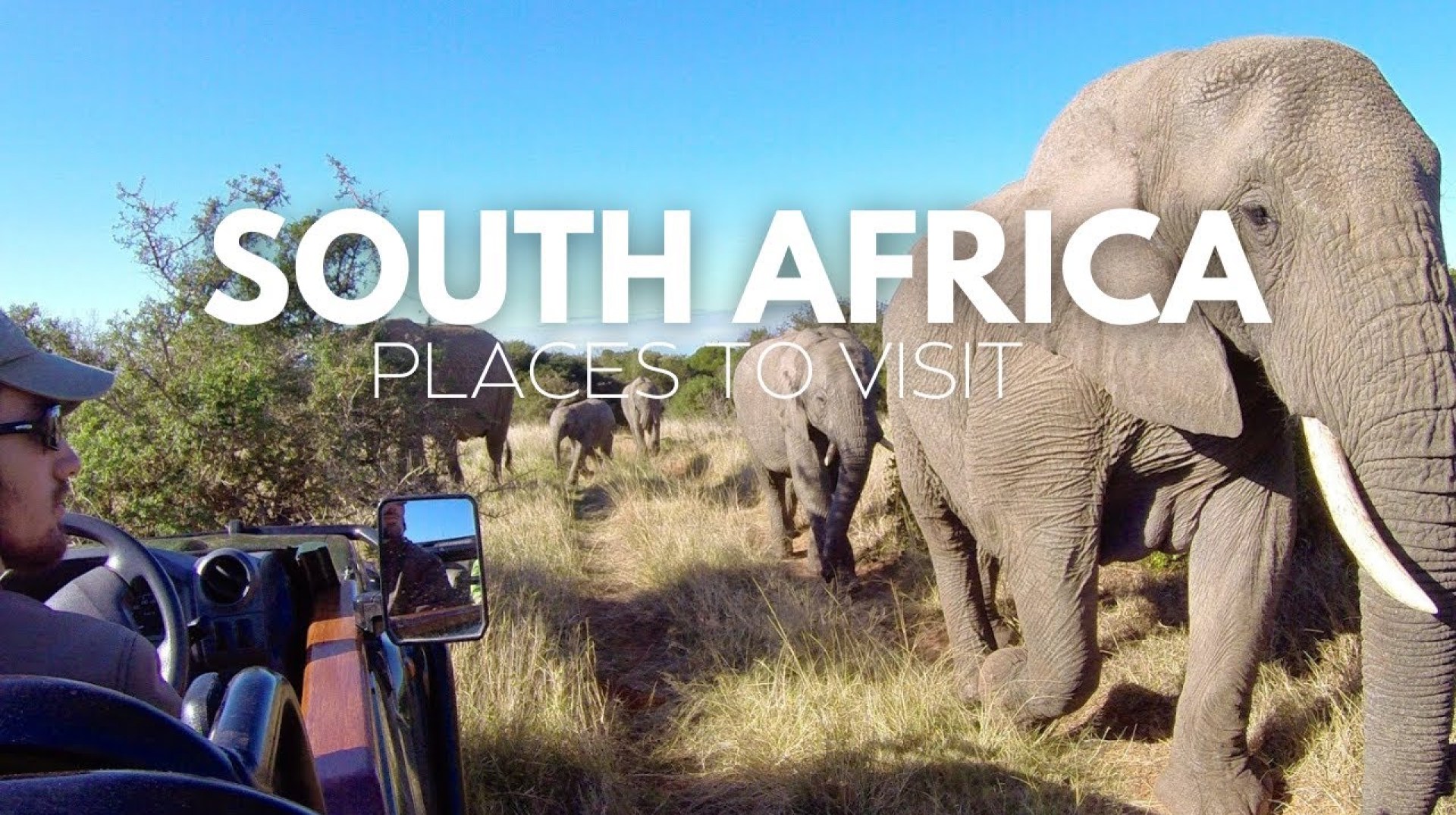 The Best of South Africa: Must-See Destinations The Best of South Africa: Must-See Destinations