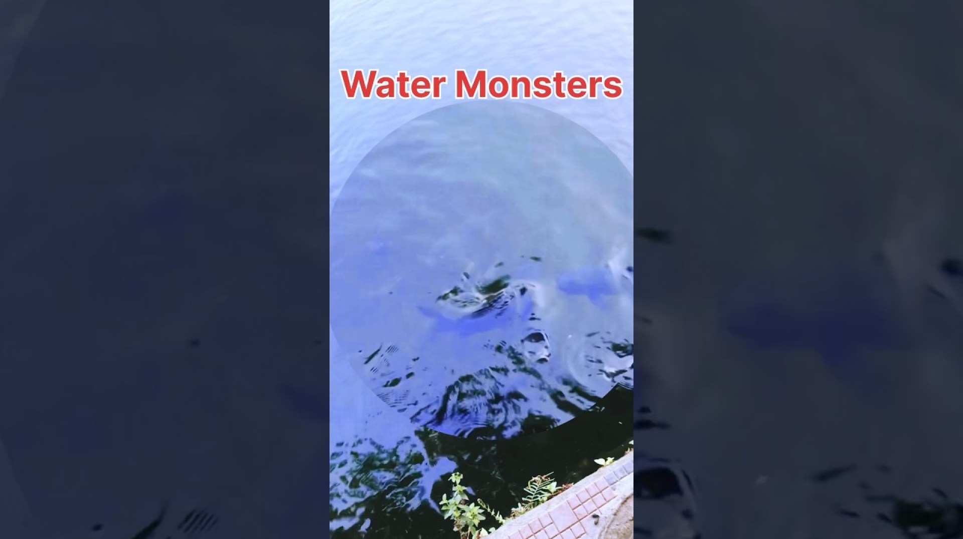 Water Monsters Water Monsters