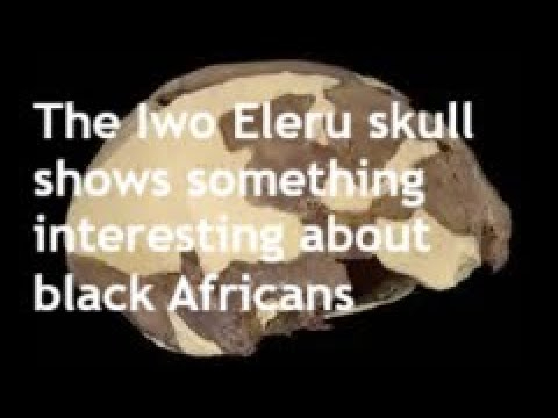 How, and why, black Africans are different from everybody else in the world How, and why, black Africans are different from everybody else in the world