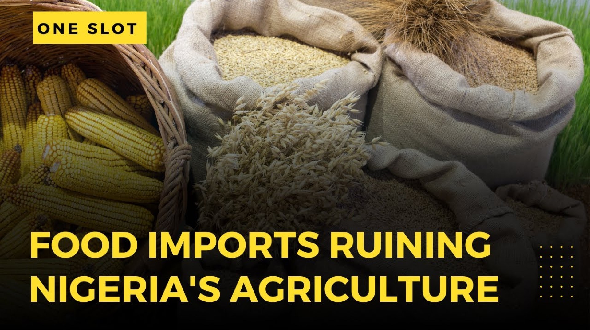 Nigeria’s Food Import Policy: Is It Destroying Agriculture? Nigeria’s Food Import Policy: Is It Destroying Agriculture?