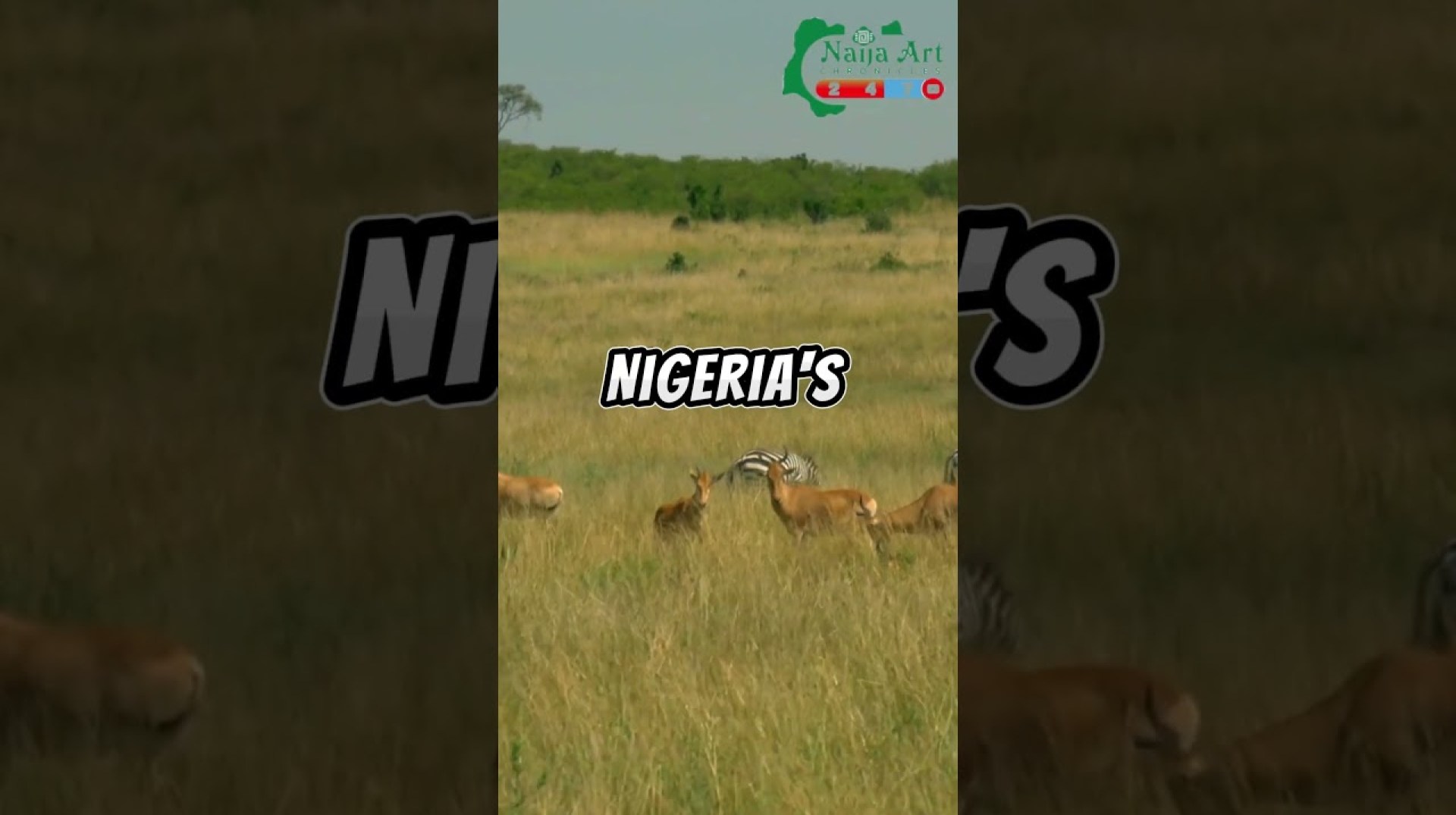 nigerian wildlife wonders of the world nigerian wildlife wonders of the world