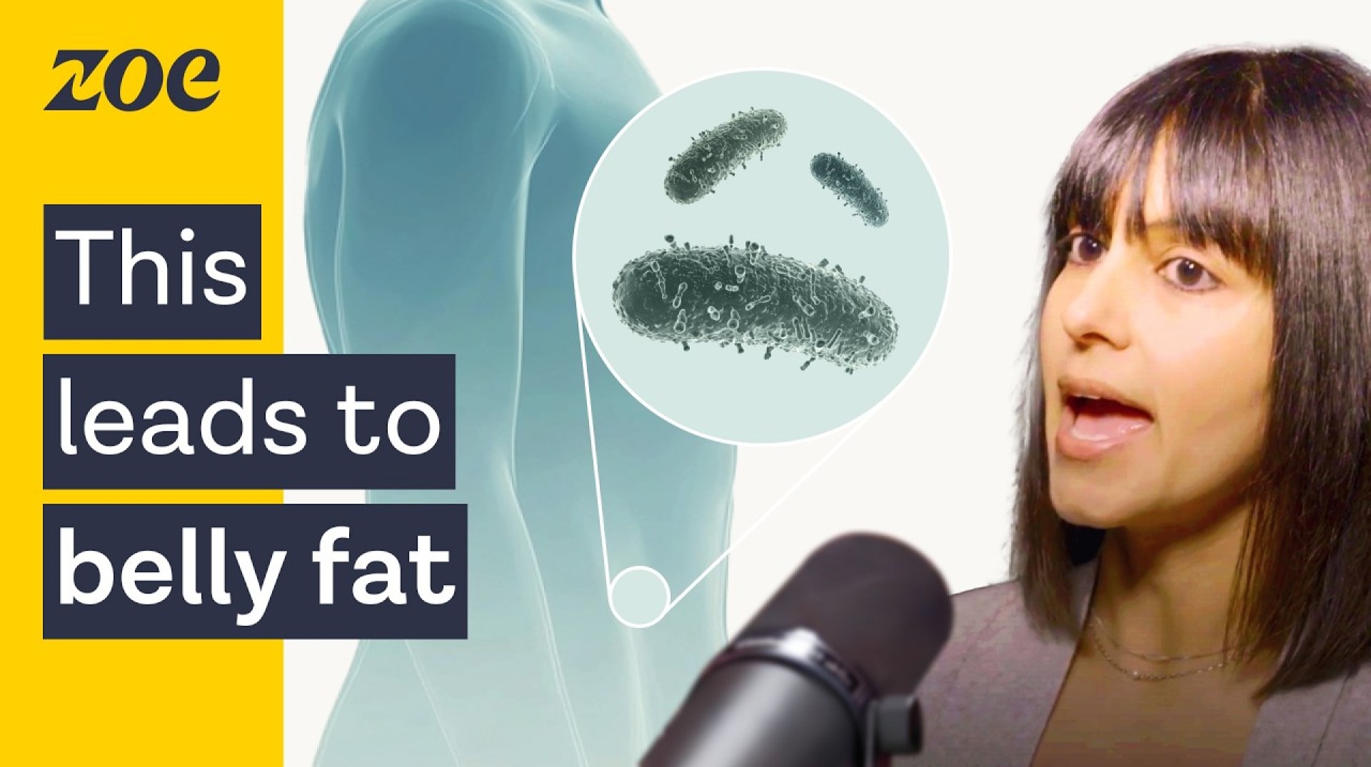 Is your gut microbiome preventing weight loss? | Dr. Suzanne Devkota and Prof. Tim Spector Is your gut microbiome preventing weight loss? | Dr. Suzanne Devkota and Prof. Tim Spector