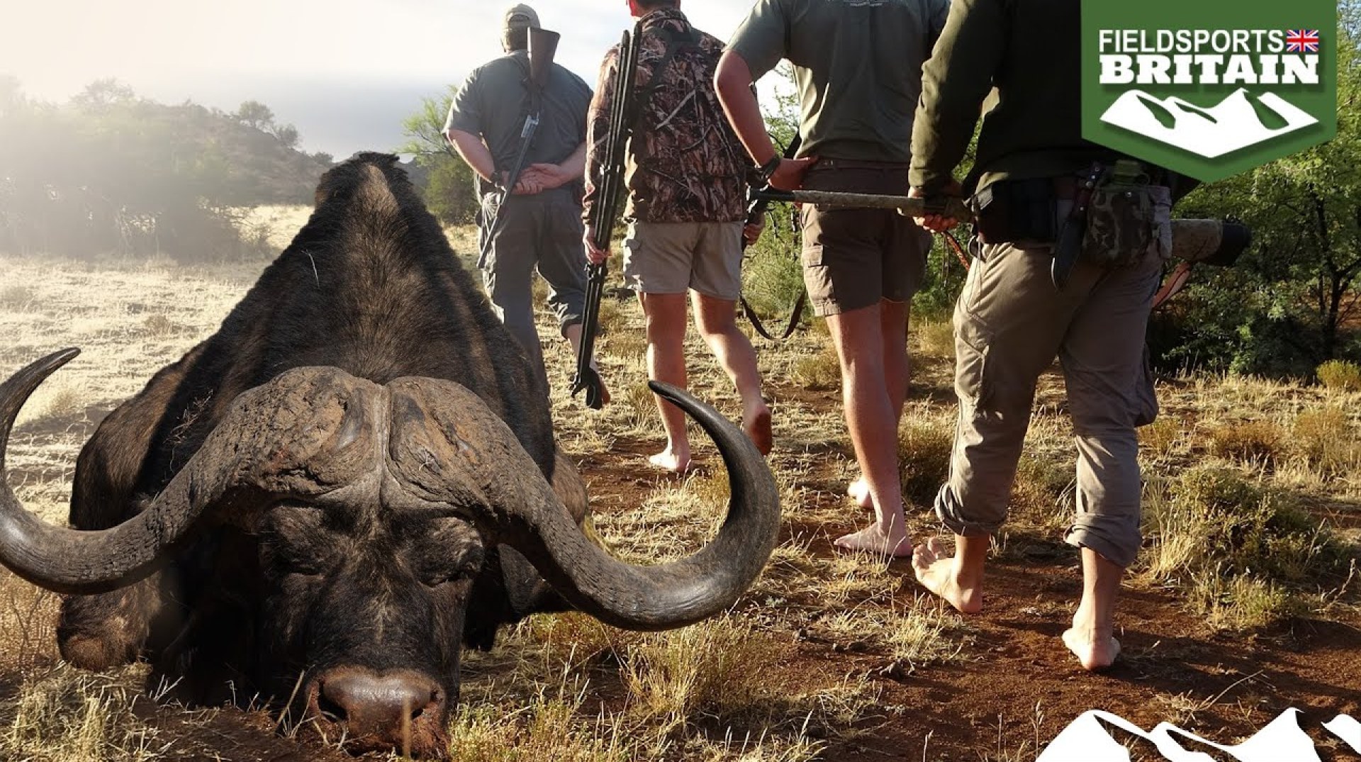 Barefoot buffalo hunt Barefoot buffalo hunt