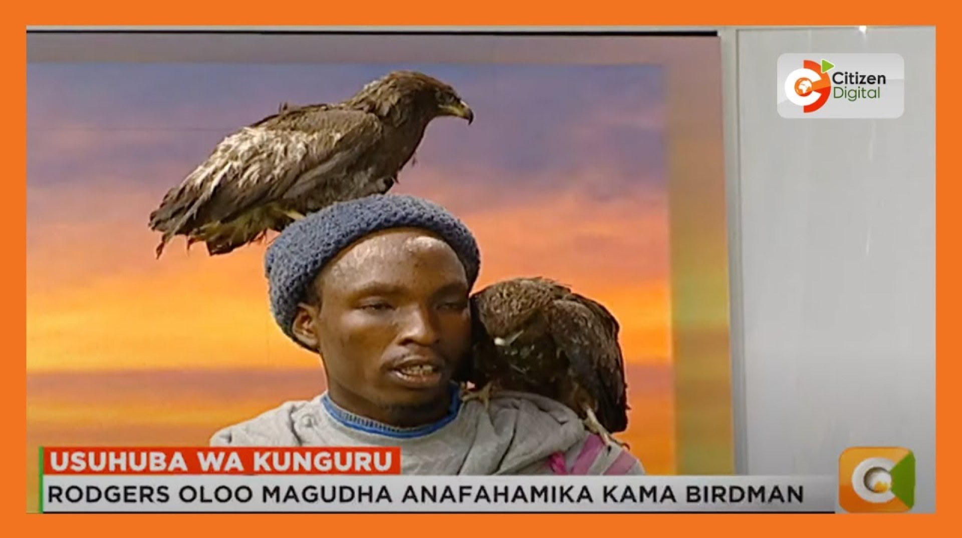 Masimulizi ya Birdman Masimulizi ya Birdman