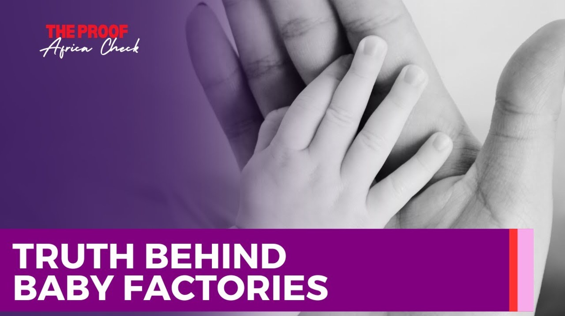 Exposing the Truth: Rescue of Pregnant Girls from Nigerian Baby Factories | The Proof Exposing the Truth: Rescue of Pregnant Girls from Nigerian Baby Factories | The Proof