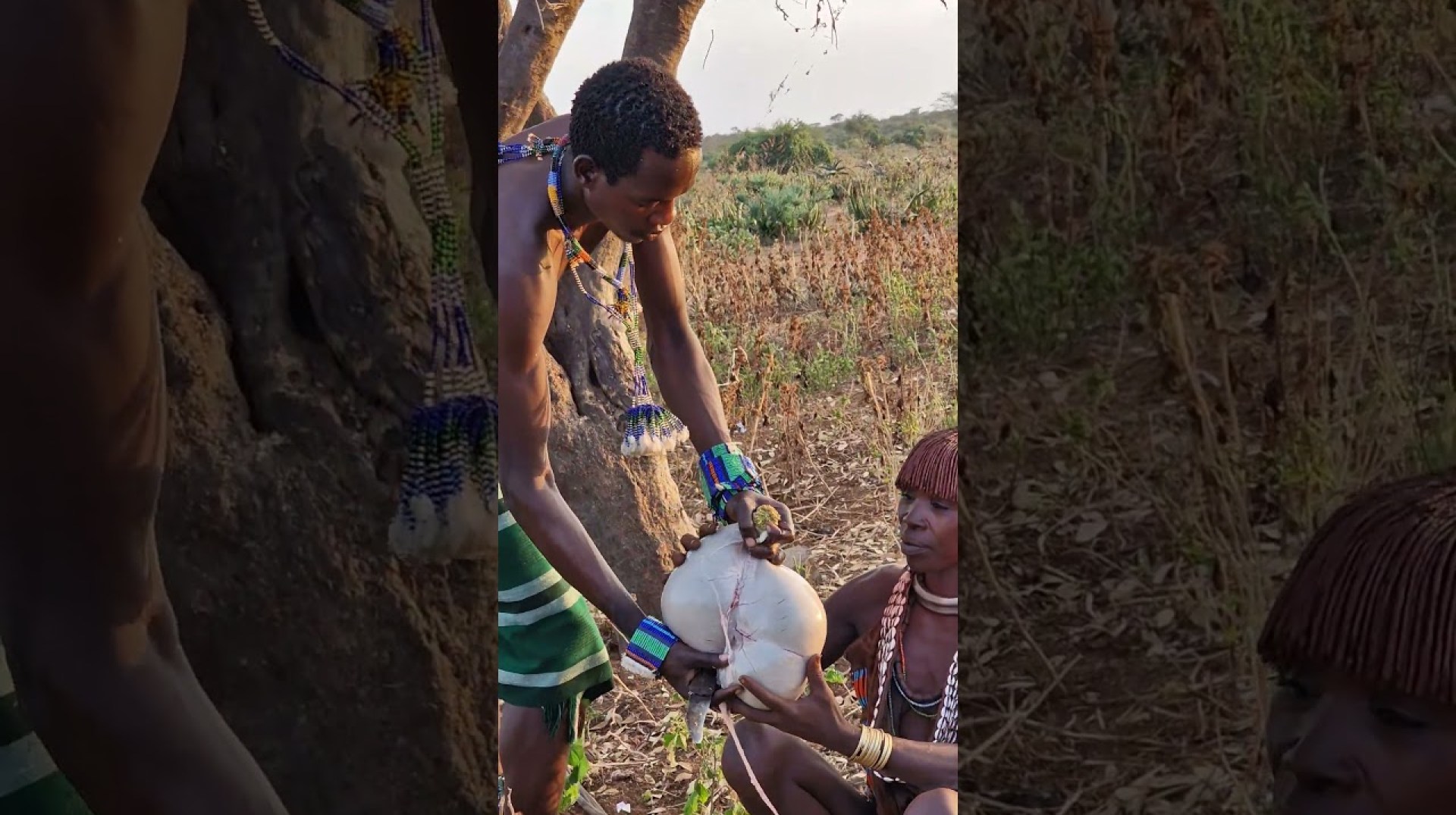Hamer tribe Omo Valley Ethiopia #ethiopia #omovalley #omoadvisor #omoriver #shorts #africa #travel Hamer tribe Omo Valley Ethiopia #ethiopia #omovalley #omoadvisor #omoriver #shorts #africa #travel