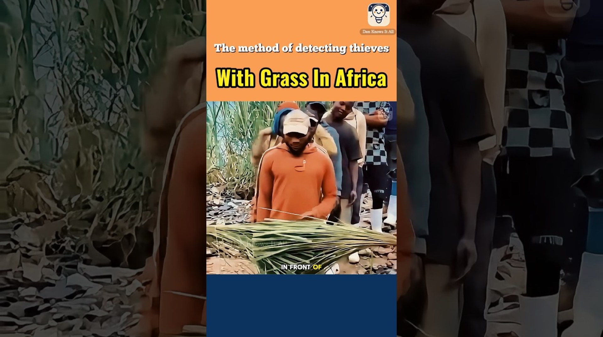 The method of detecting thieves with grass in Africa The method of detecting thieves with grass in Africa