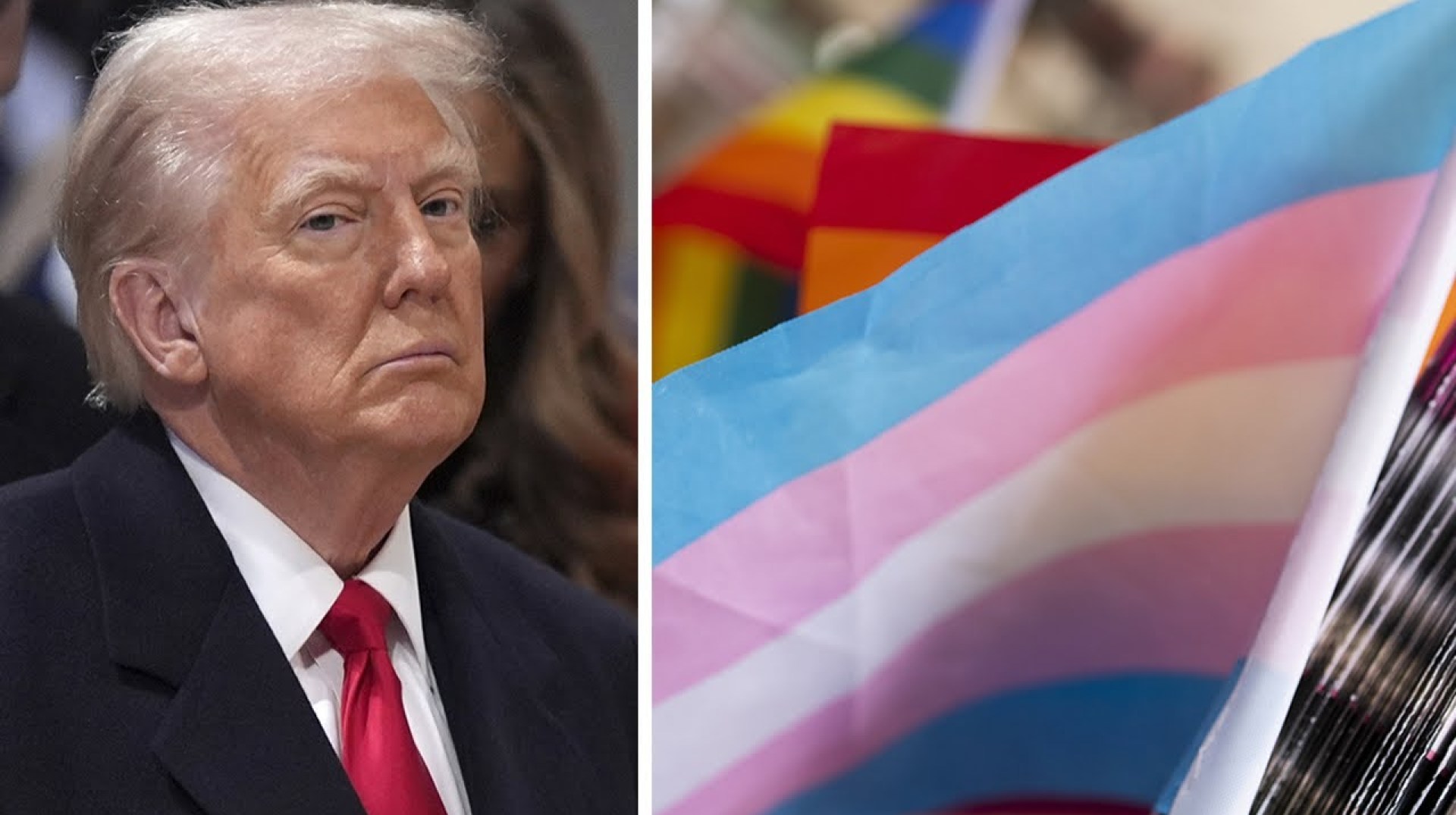 Pres. Trump's anti-trans executive order hits too close to home for SF Pride leaders: 'mortified' Pres. Trump's anti-trans executive order hits too close to home for SF Pride leaders: 'mortified'