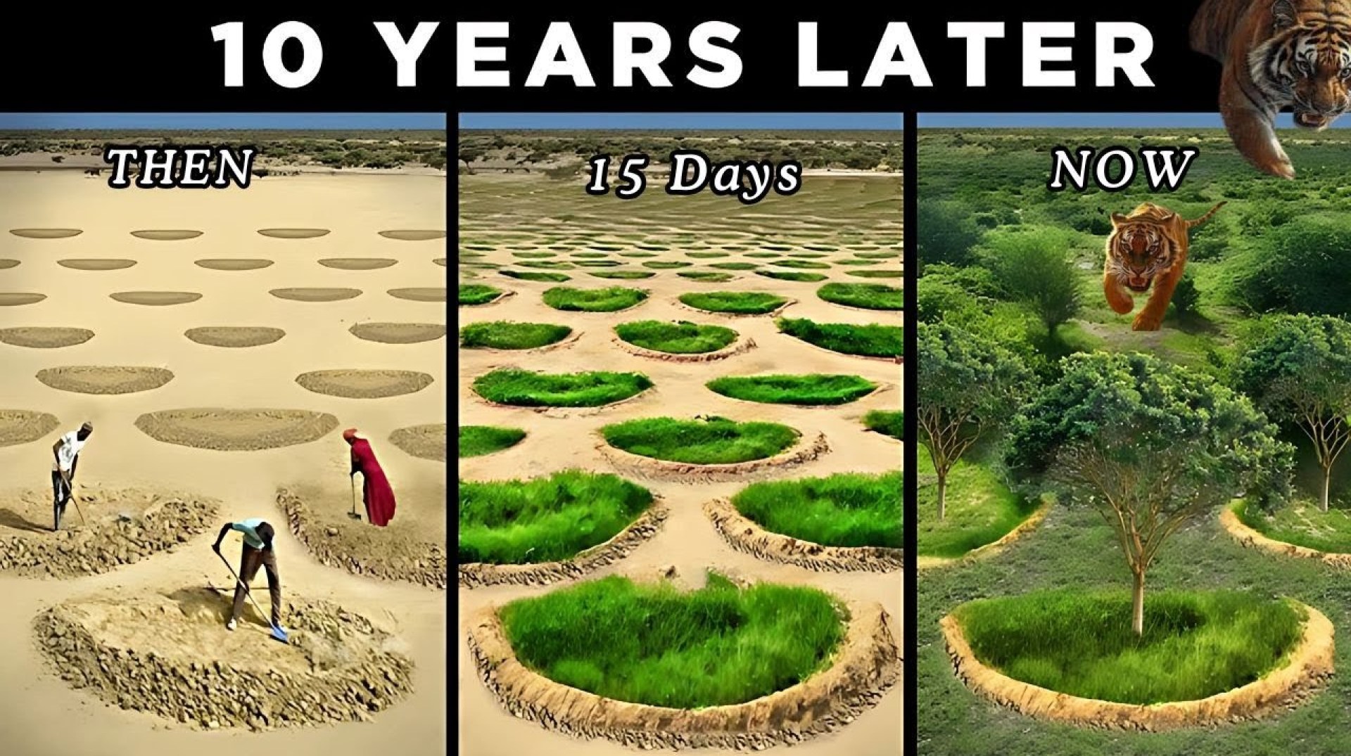 The Secret Holes Saving Africa: Climate Resilience The Secret Holes Saving Africa: Climate Resilience