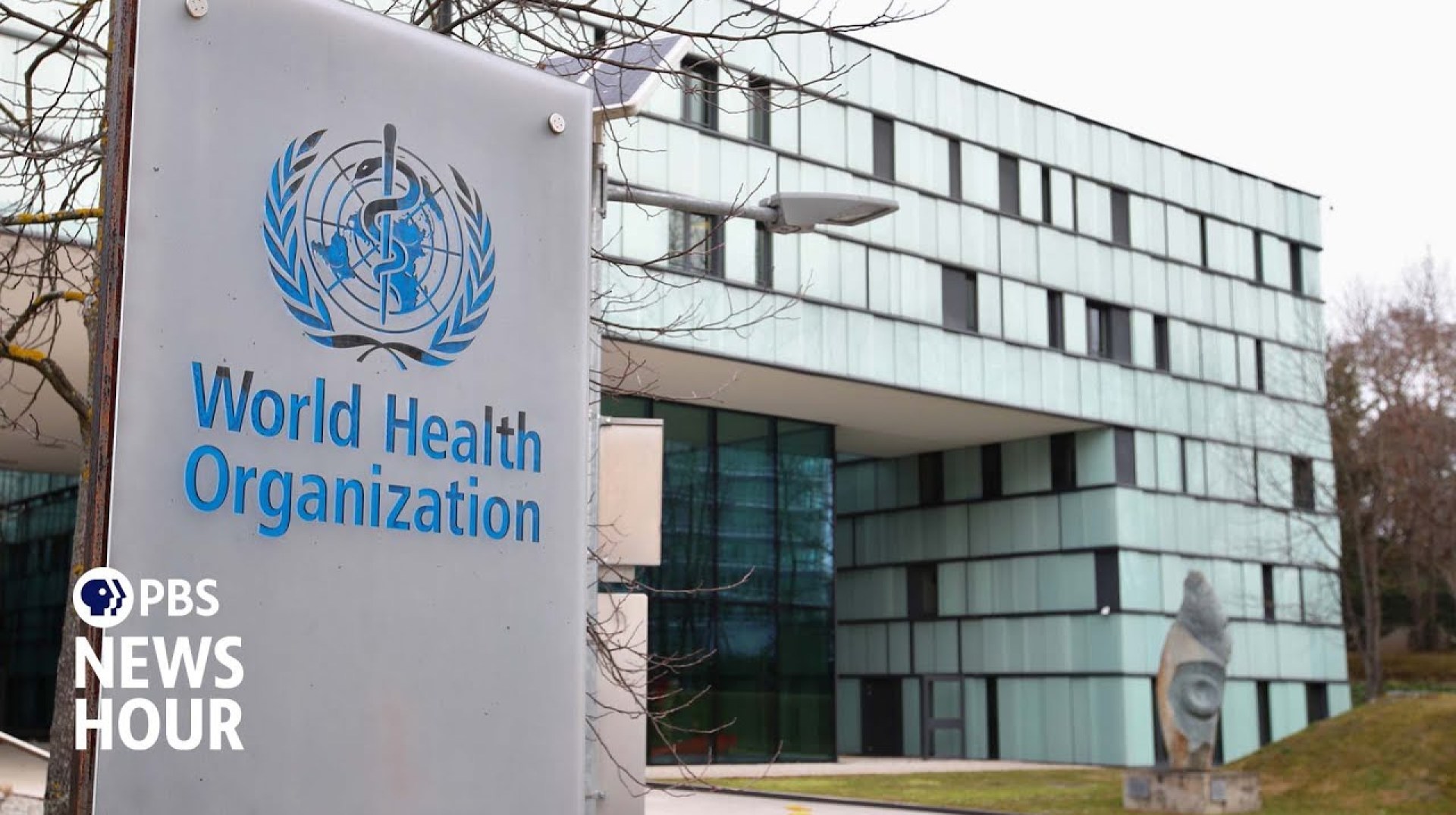 The potential impacts of Trump's decision to withdraw from the World Health Organization The potential impacts of Trump's decision to withdraw from the World Health Organization