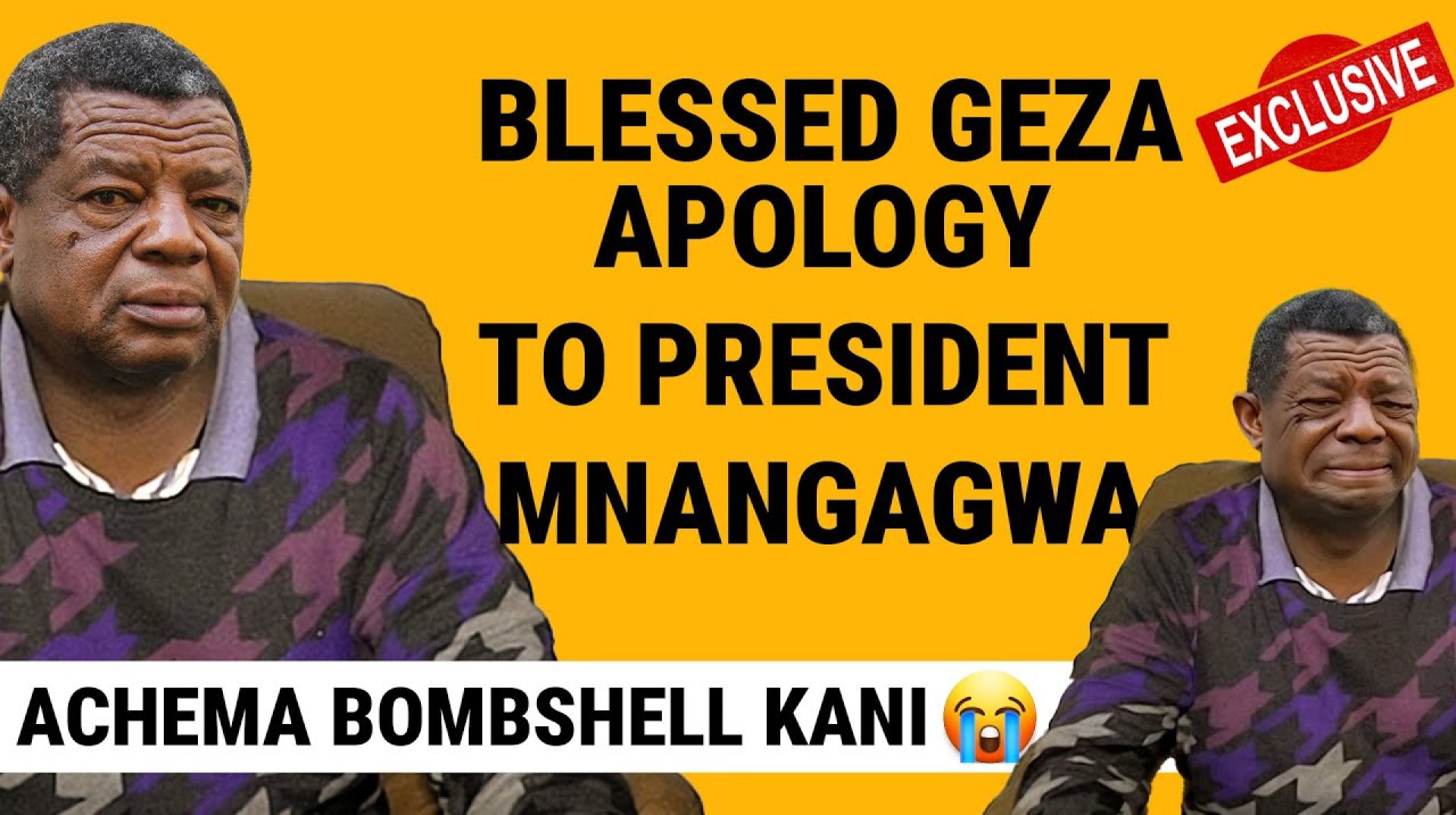 Blessed Geza apology to ED Mnangagwa LEAKED | Allegedly Blessed Geza apology to ED Mnangagwa LEAKED | Allegedly