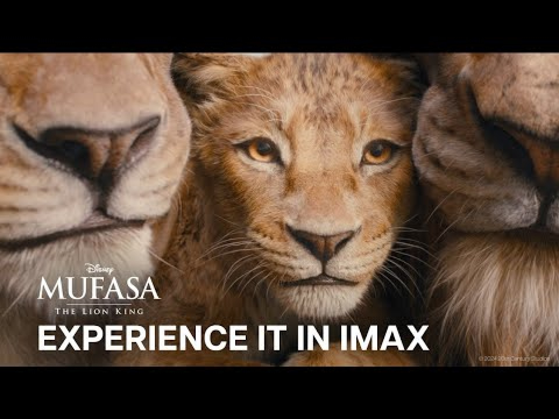 MUFASA: THE LION KING | Experience It In Imax MUFASA: THE LION KING | Experience It In Imax