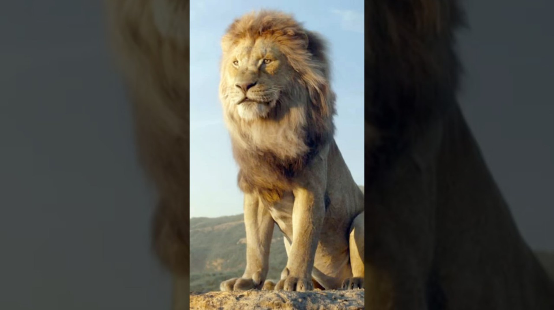 This Detail In Mufasa The Lion King Changes Everything #shorts #disney This Detail In Mufasa The Lion King Changes Everything #shorts #disney