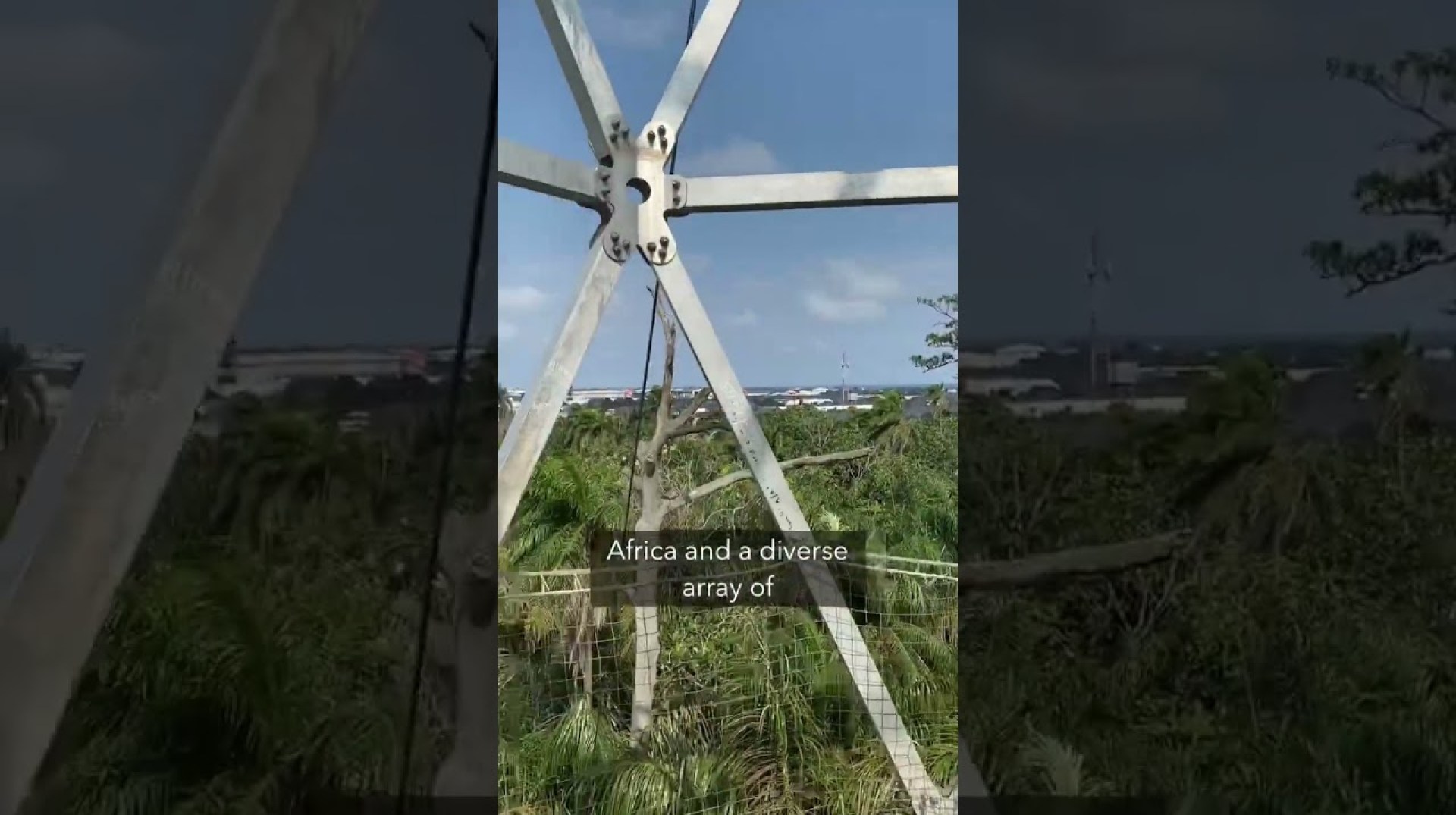 Lekki Conservation Centre – #africa #travel #nigeria #adventure #nature #wildlife #youtubeshorts Lekki Conservation Centre – #africa #travel #nigeria #adventure #nature #wildlife #youtubeshorts